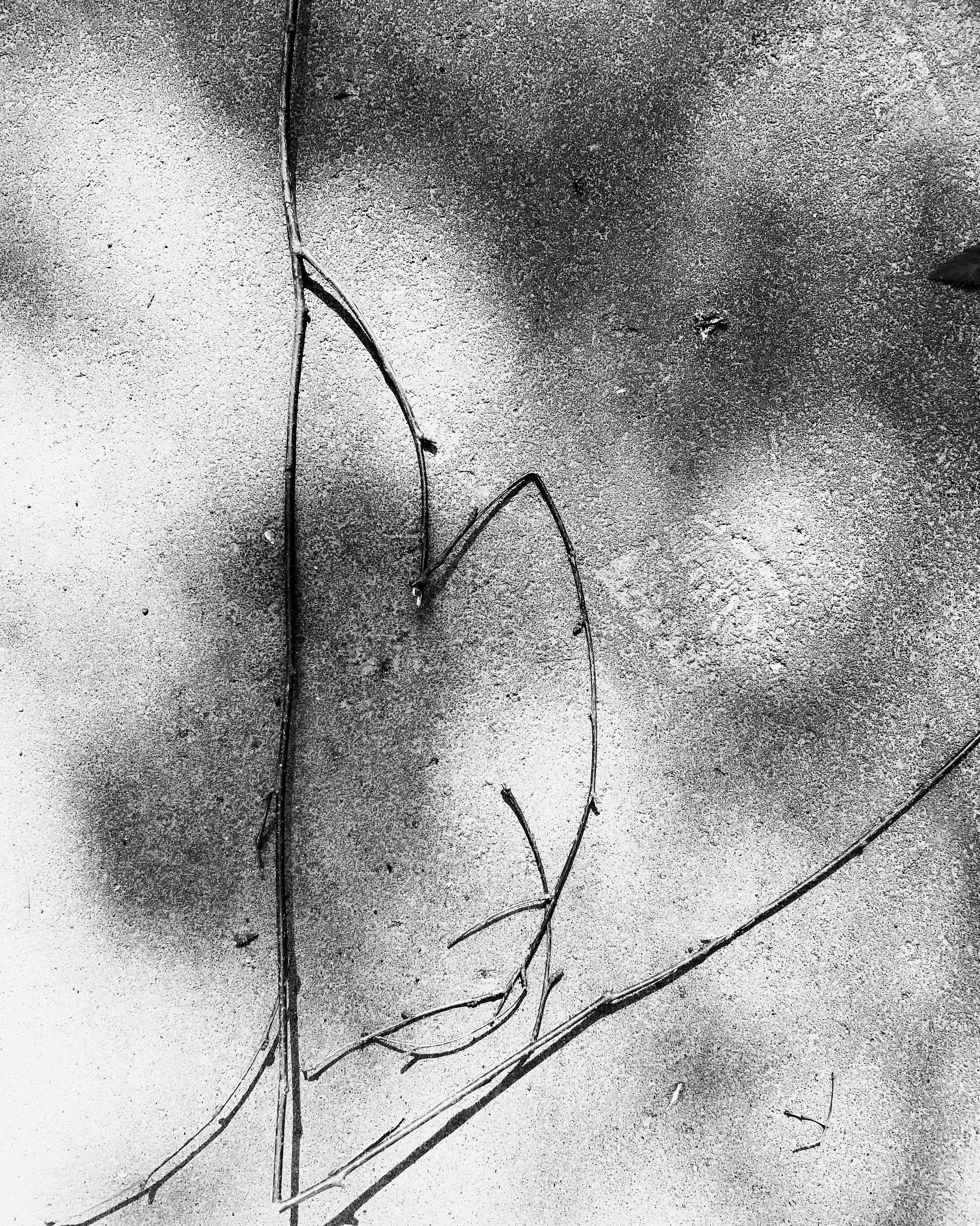 Мир и детализация