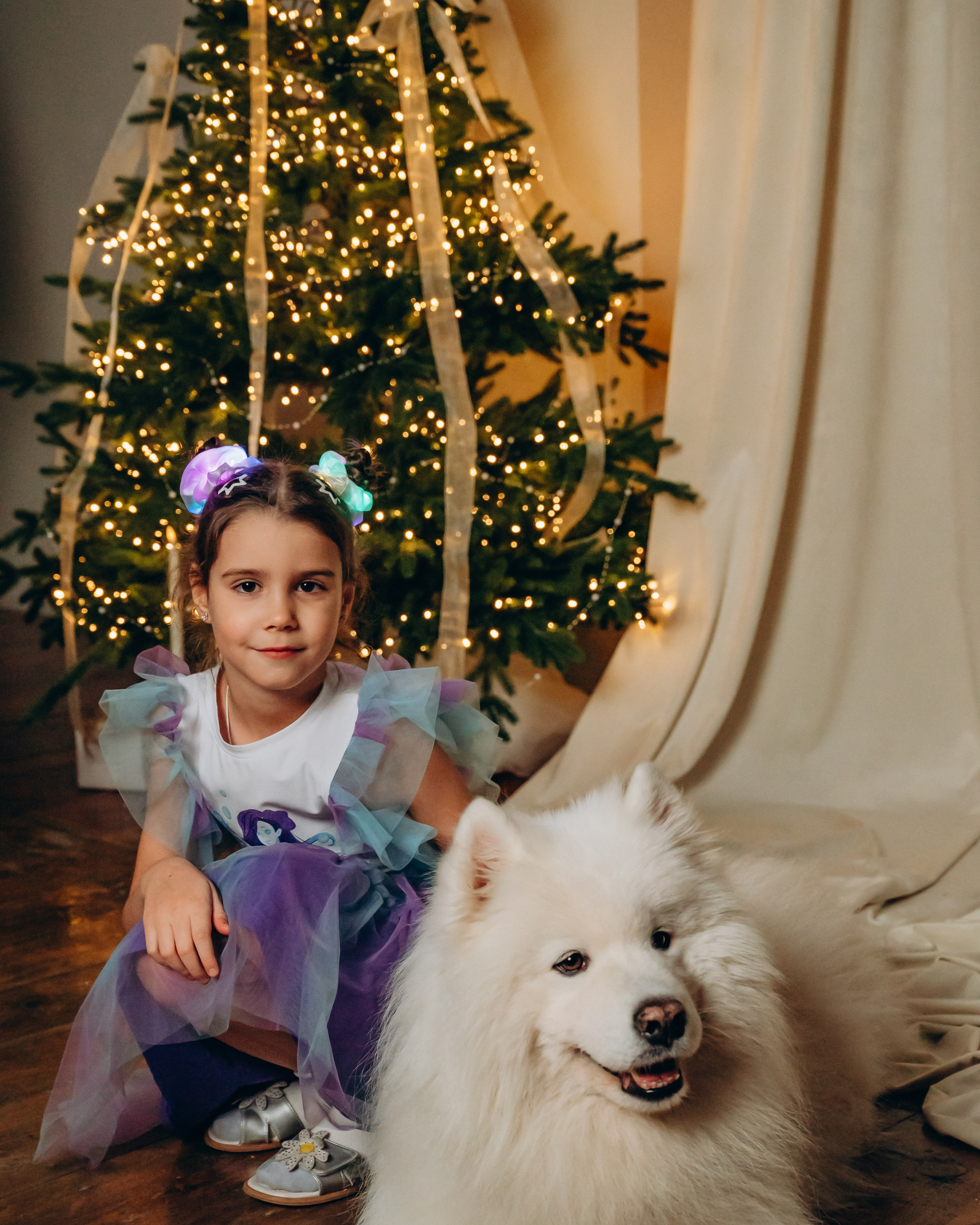 Новый год с самоедом