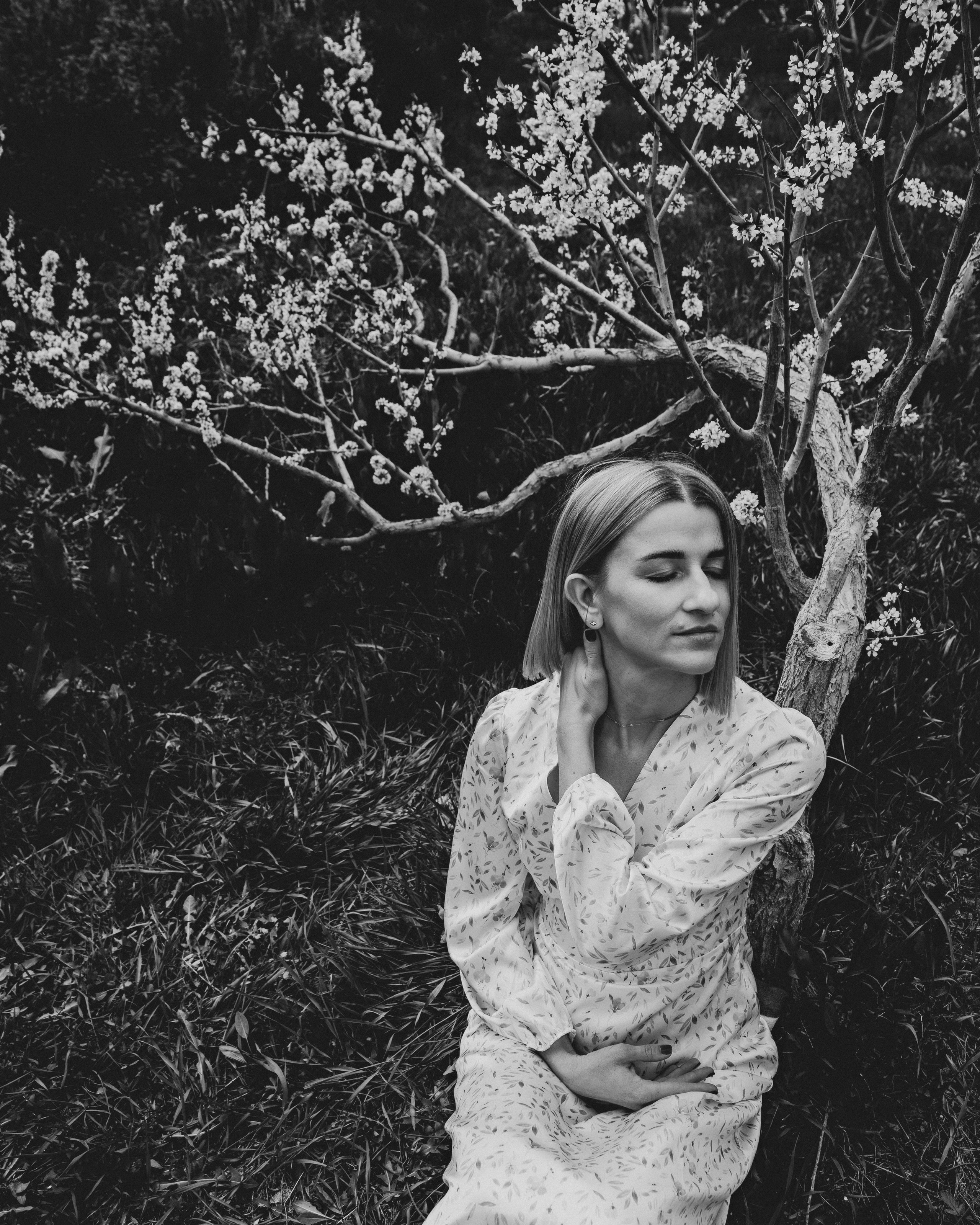 Сливовый сад