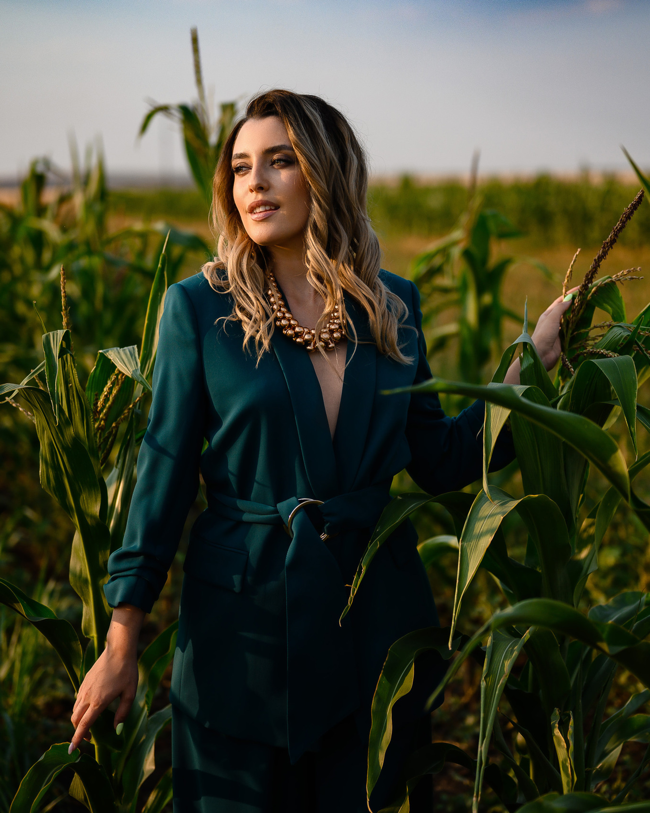 Кукурузное поле