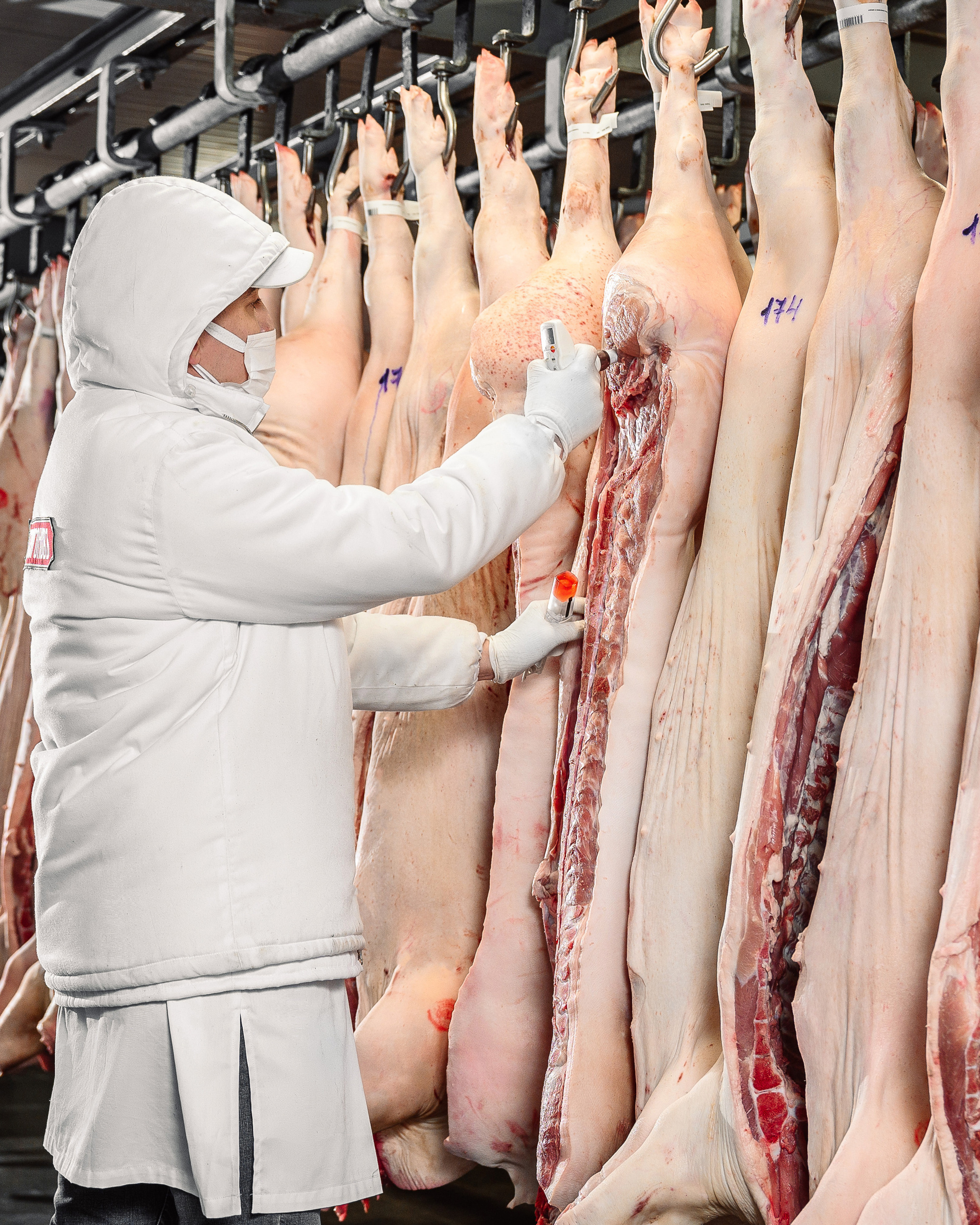 Мясной цех «Строгоновъ»