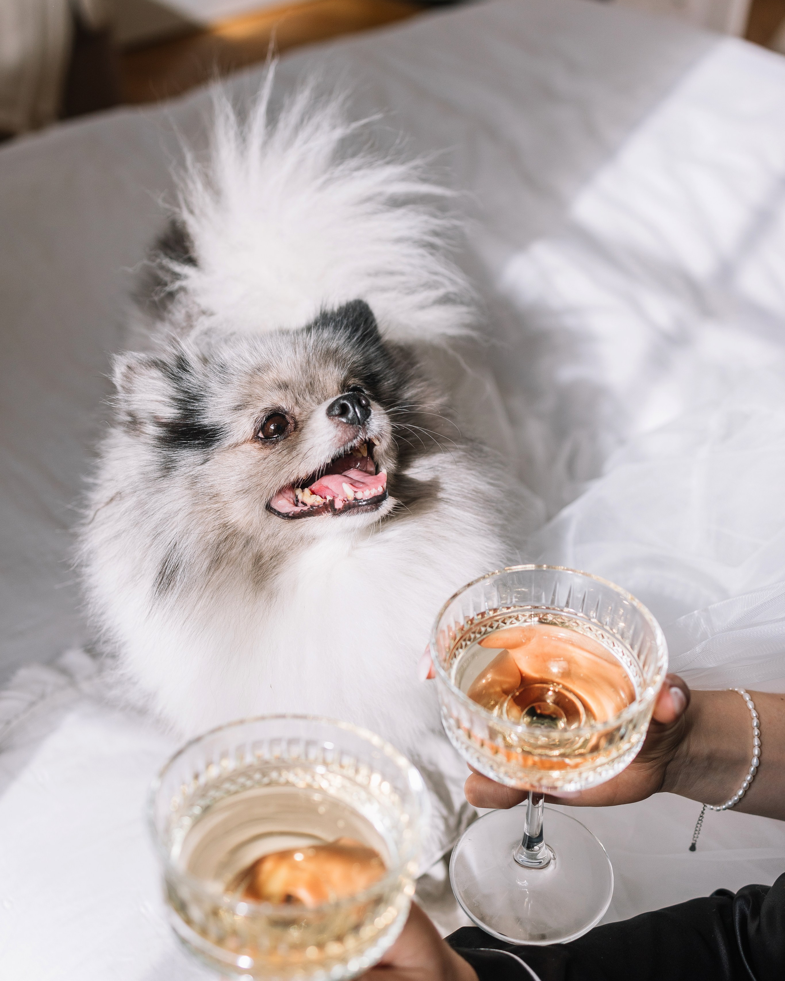 Свадебные сборы