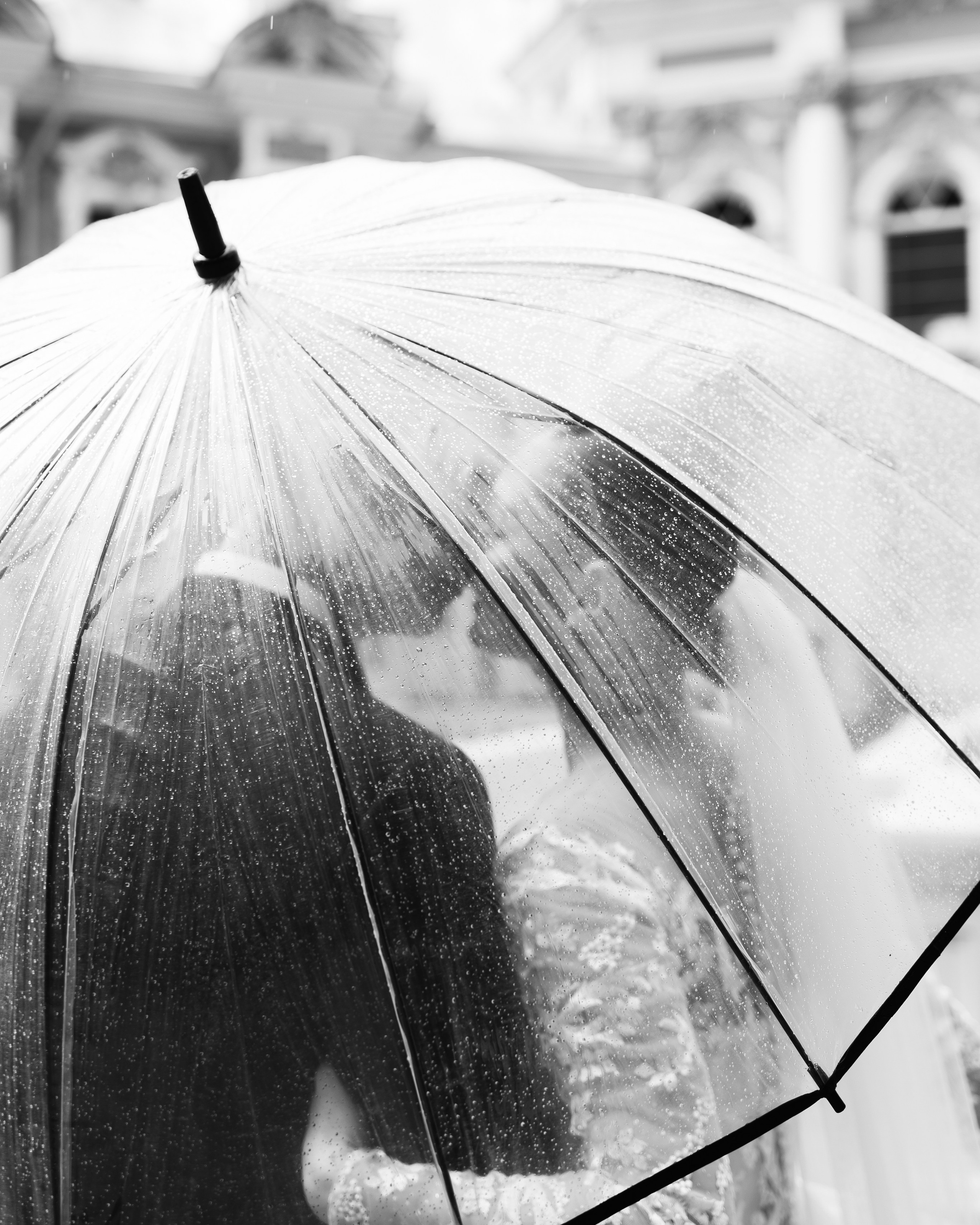 Екатерининский парк в Пушкине