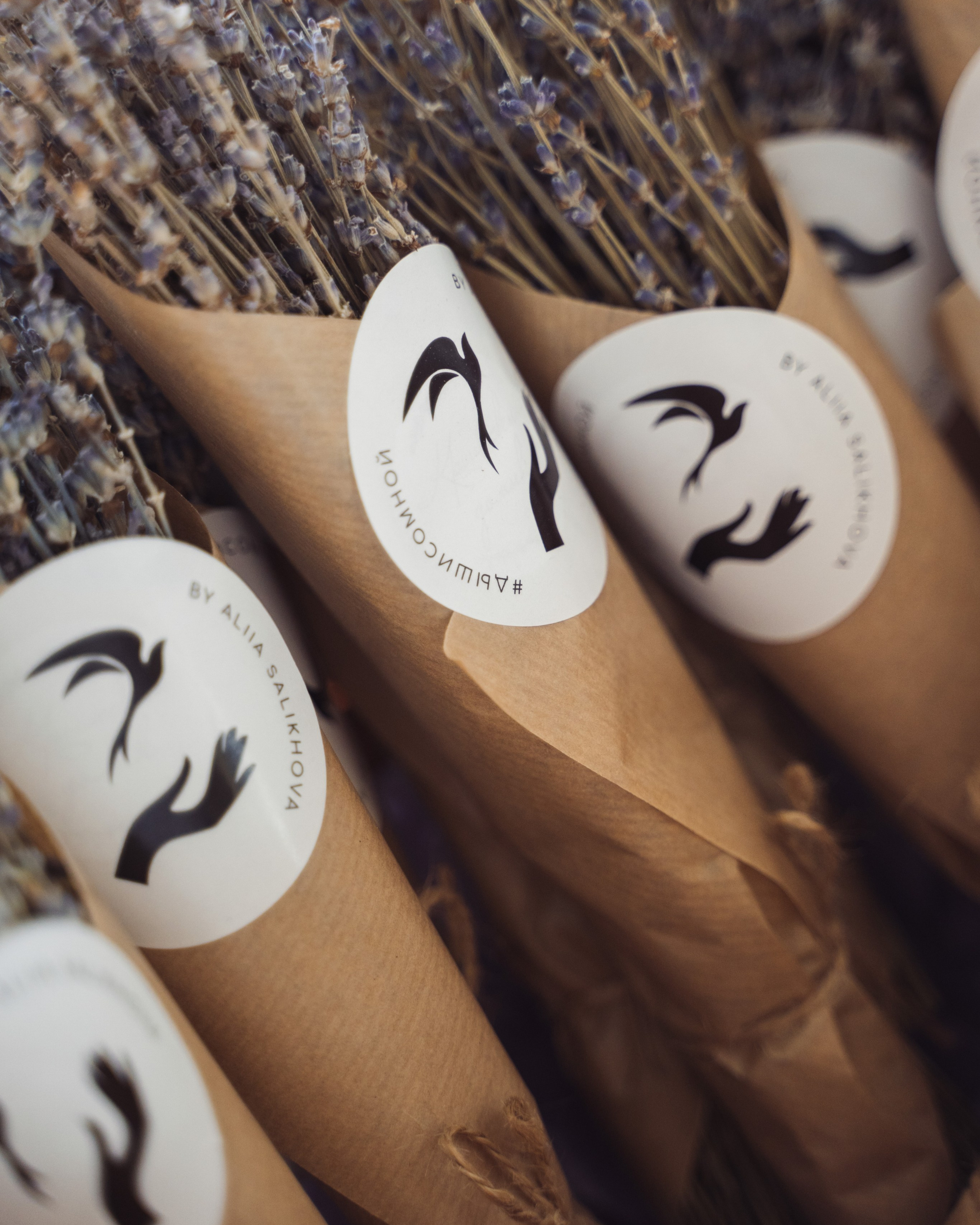 Дыши со мной // Открытие студии