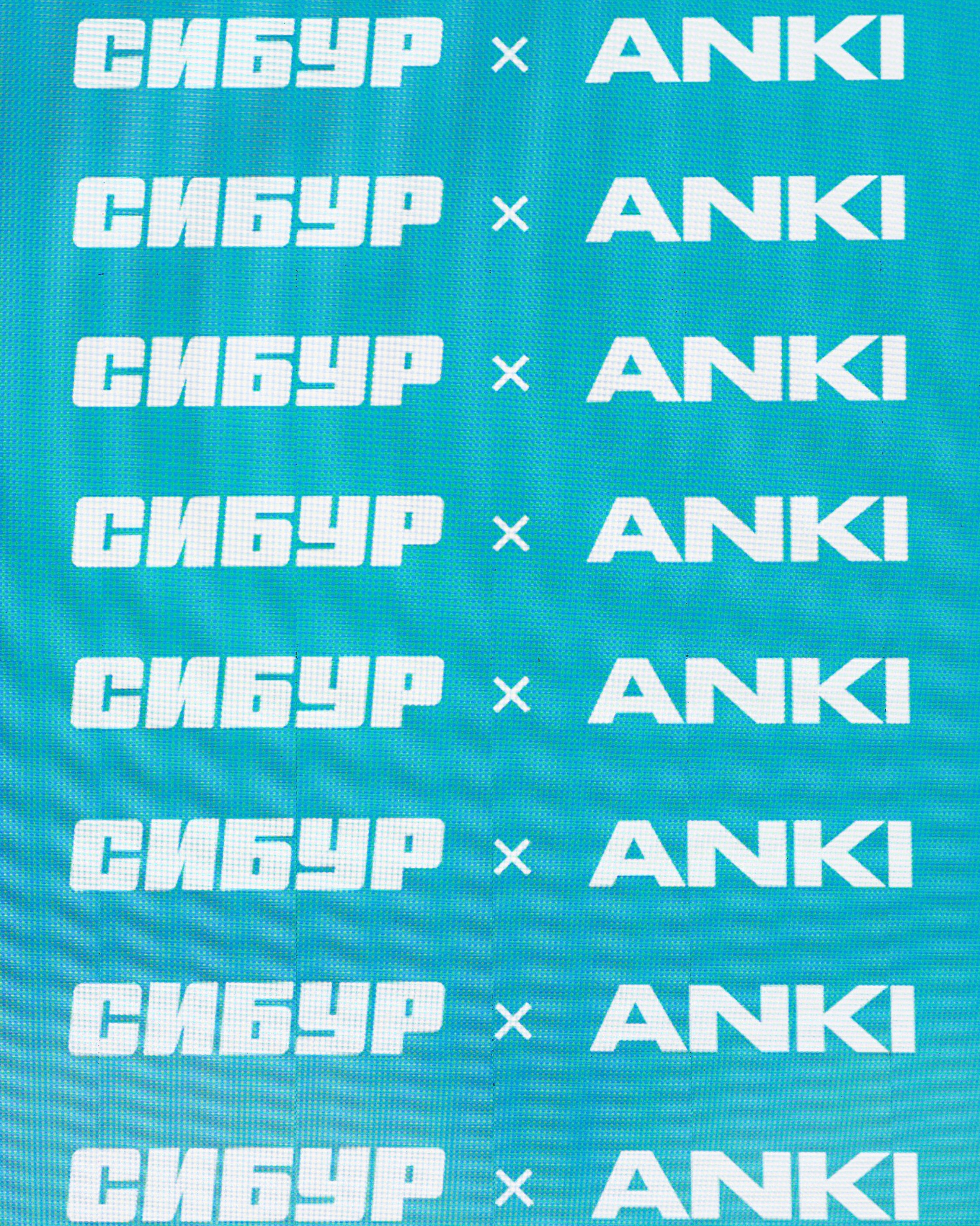 Сибур x ANKI // Презентация