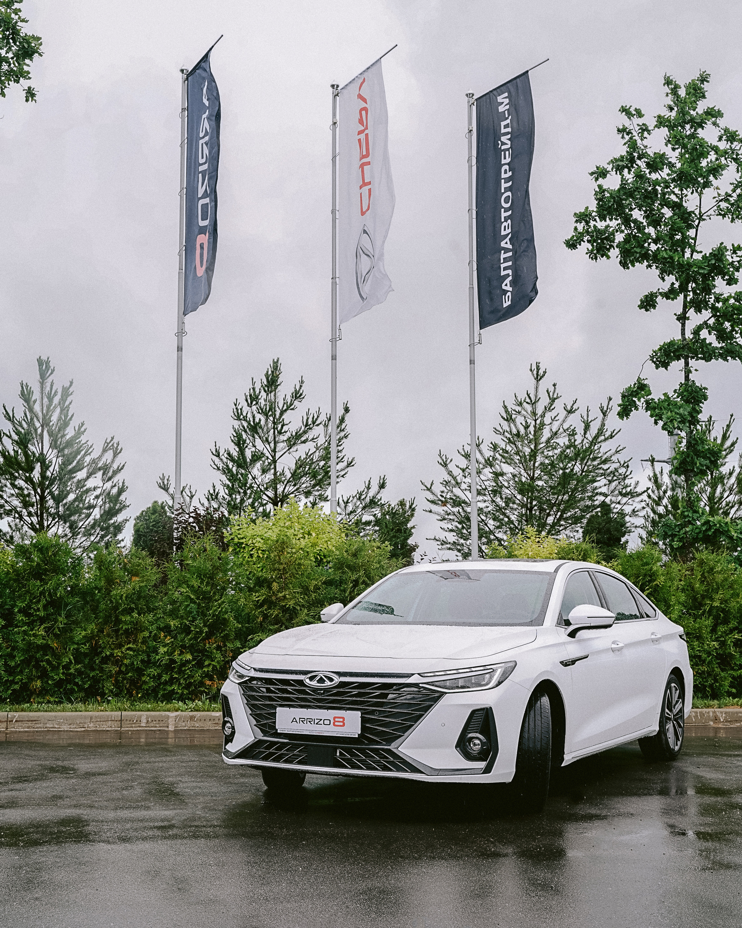 Презентация Arrizo 8