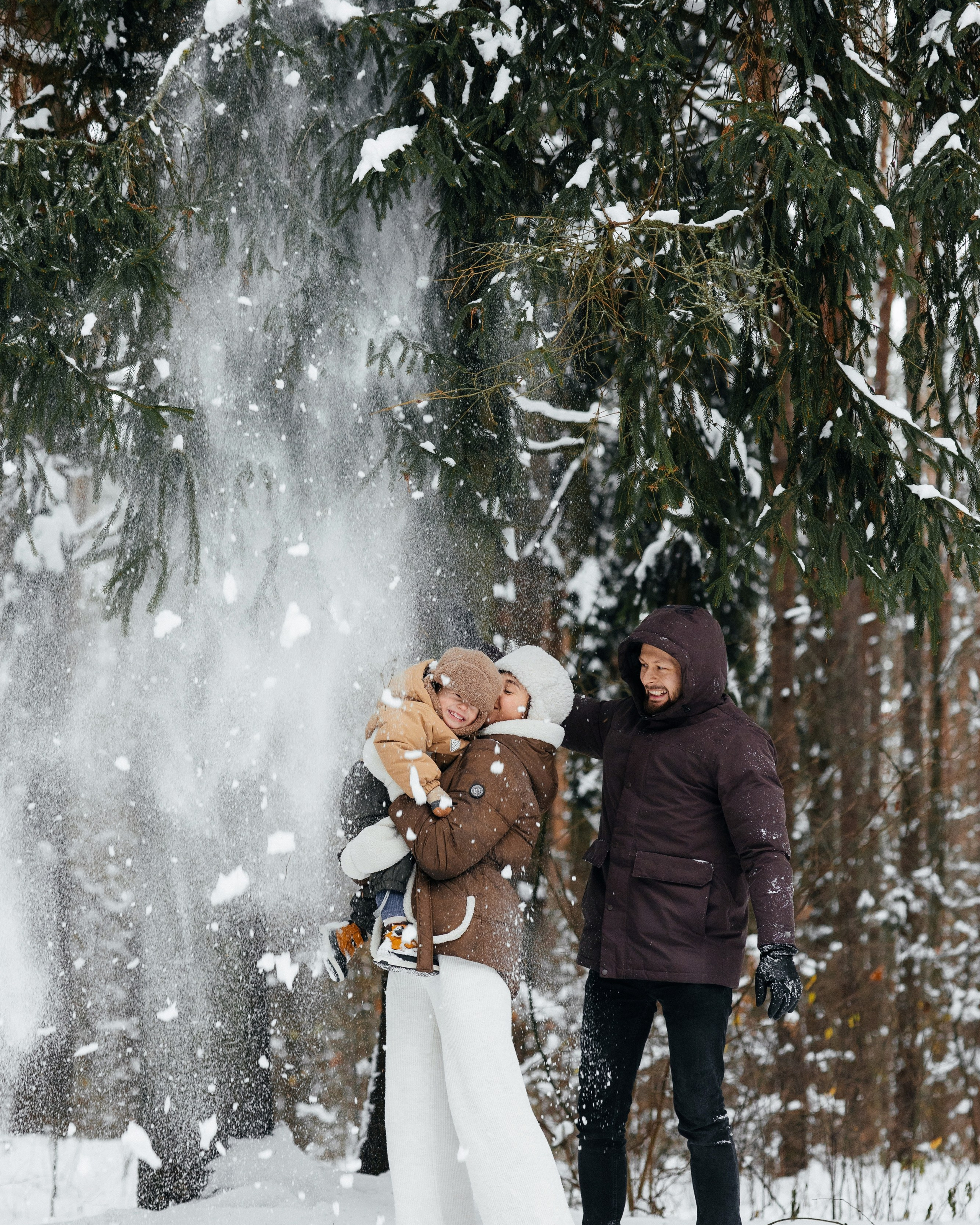 Прогулка в лесу