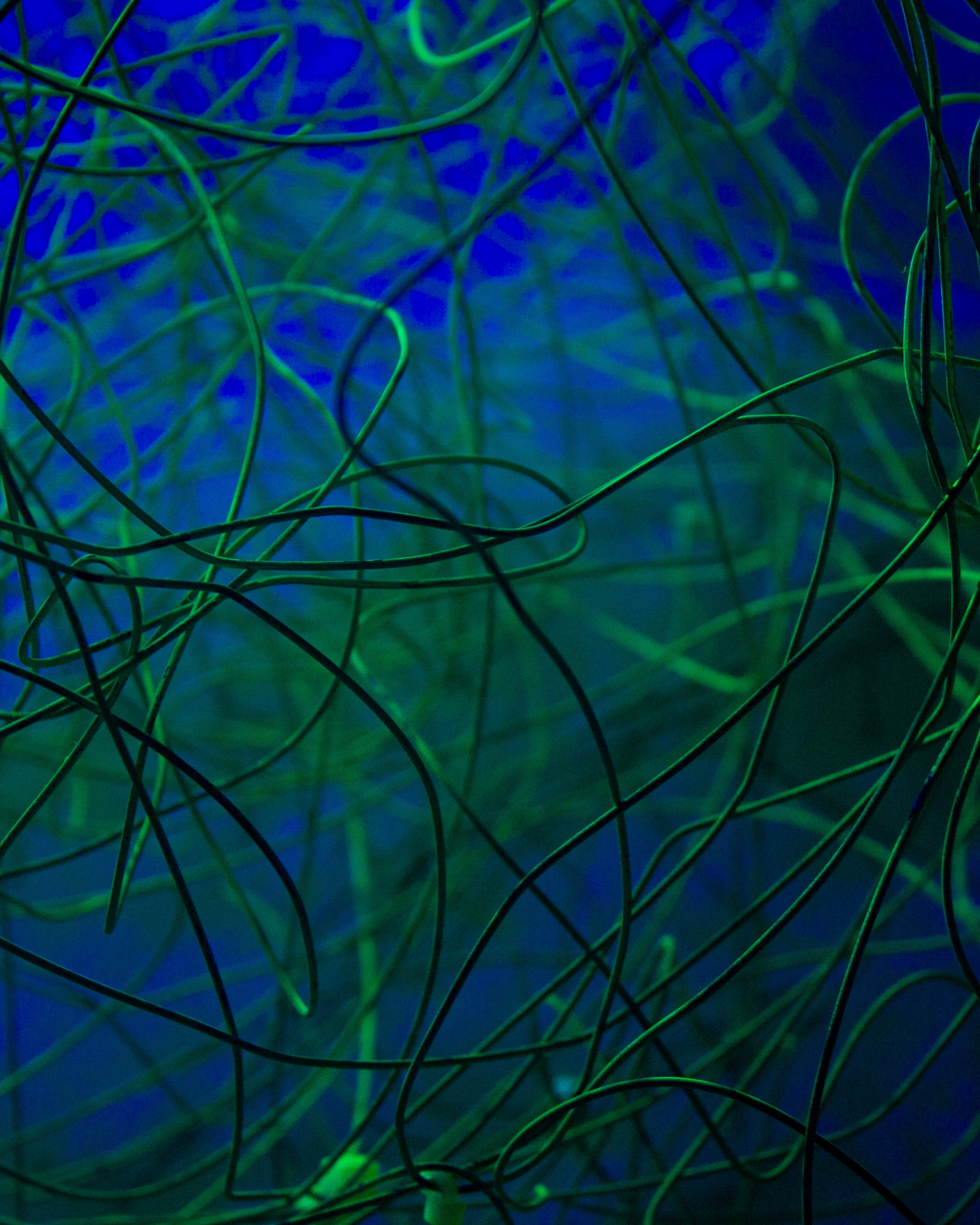 НЕ ТЕМНО 2024