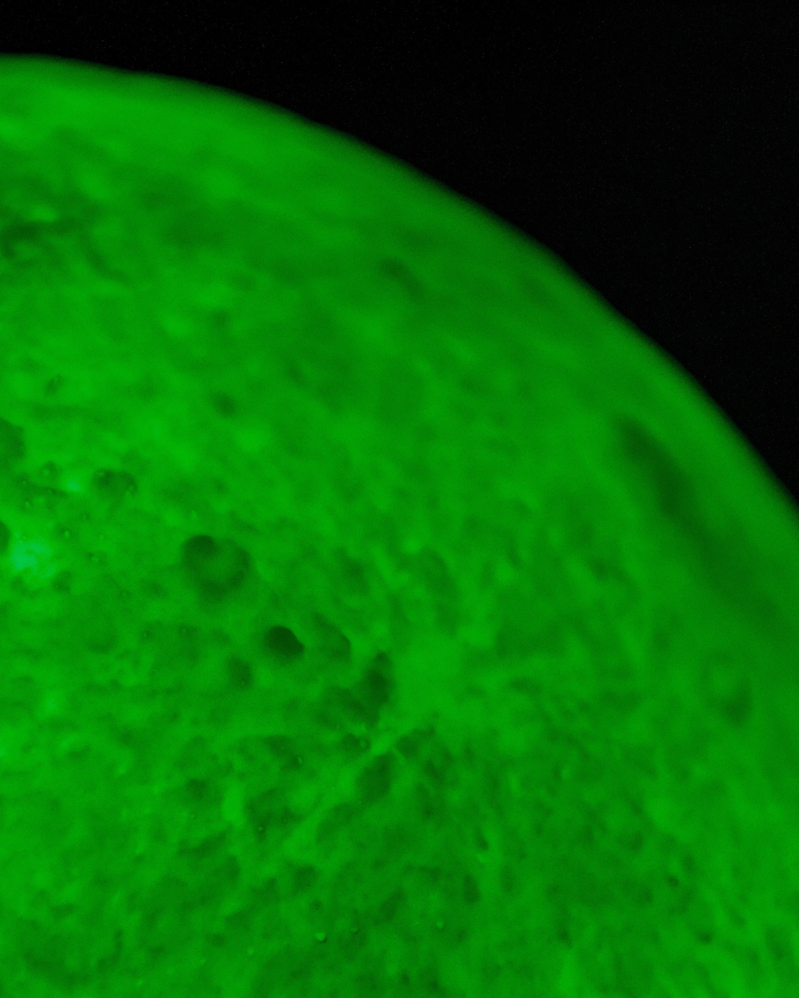 Ночь музеев в Екатеринбургской академии современного искусства2025