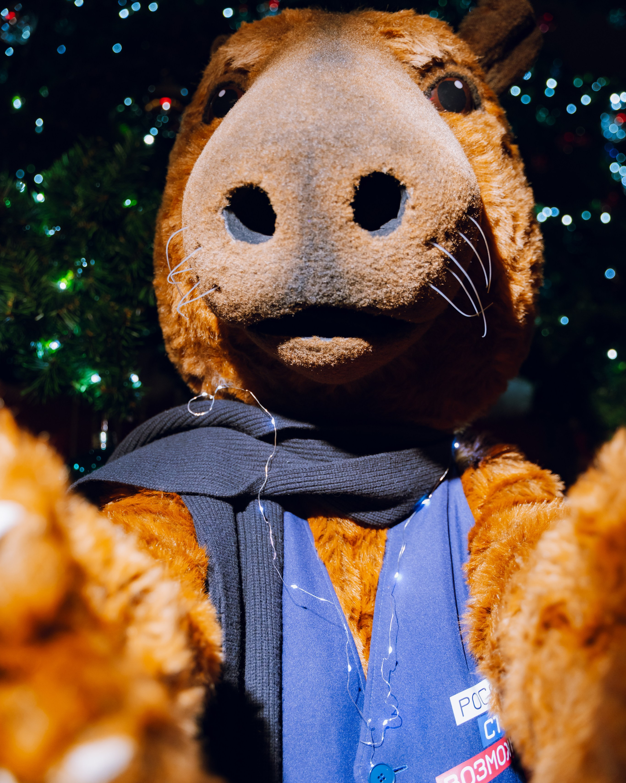 Трек «Профразвитие» форума «Дело в людях» (Сенеж, РСВ) 2025