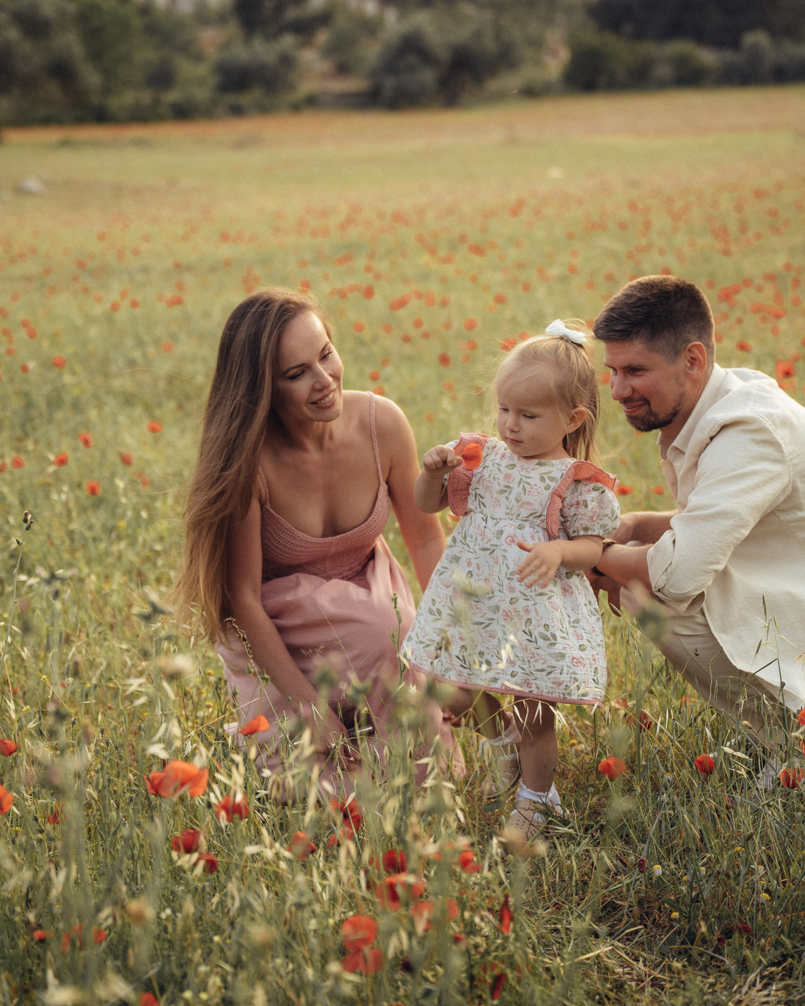 По&nbsp;пути к&nbsp;маковому полю