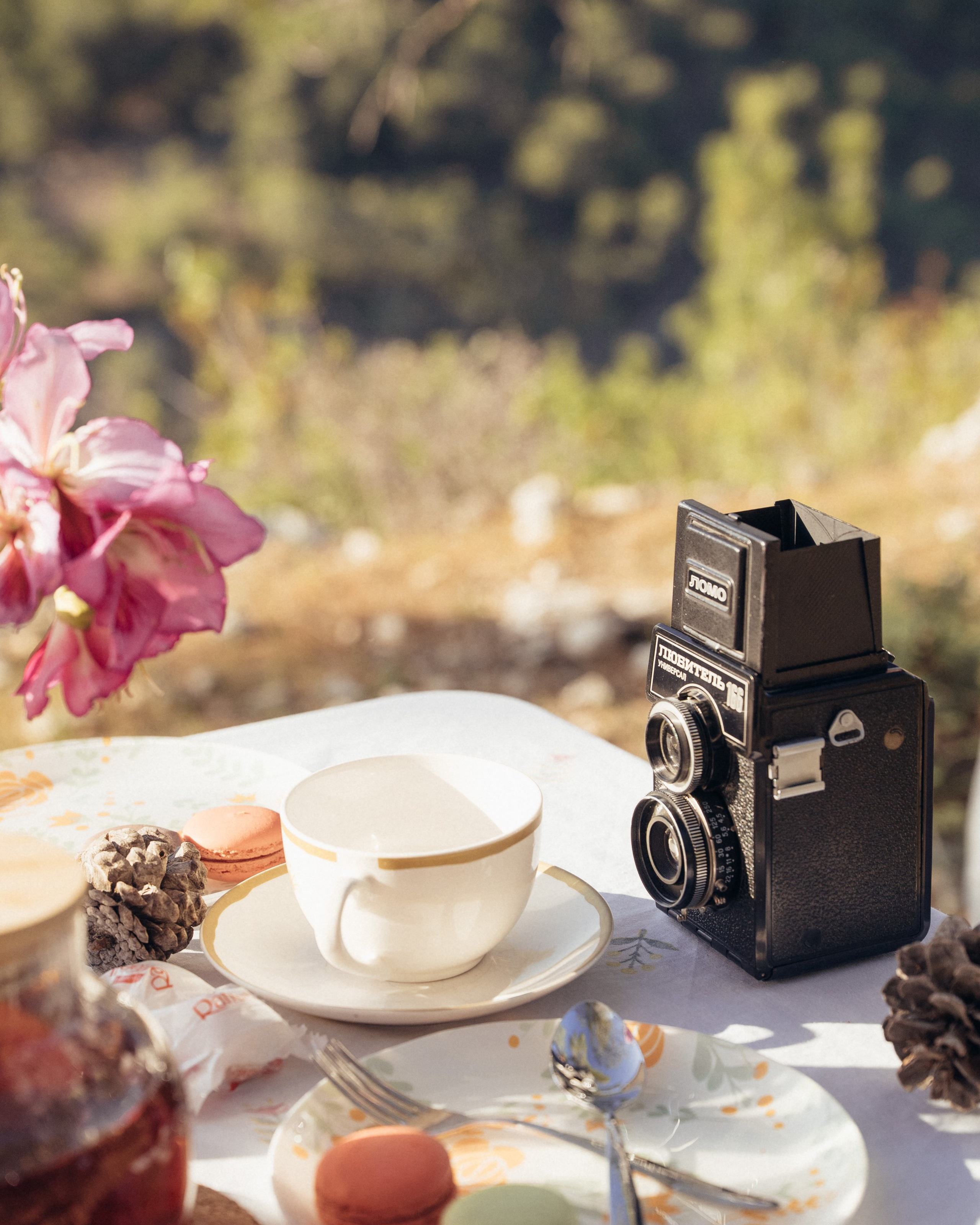 Пасхальный пикник