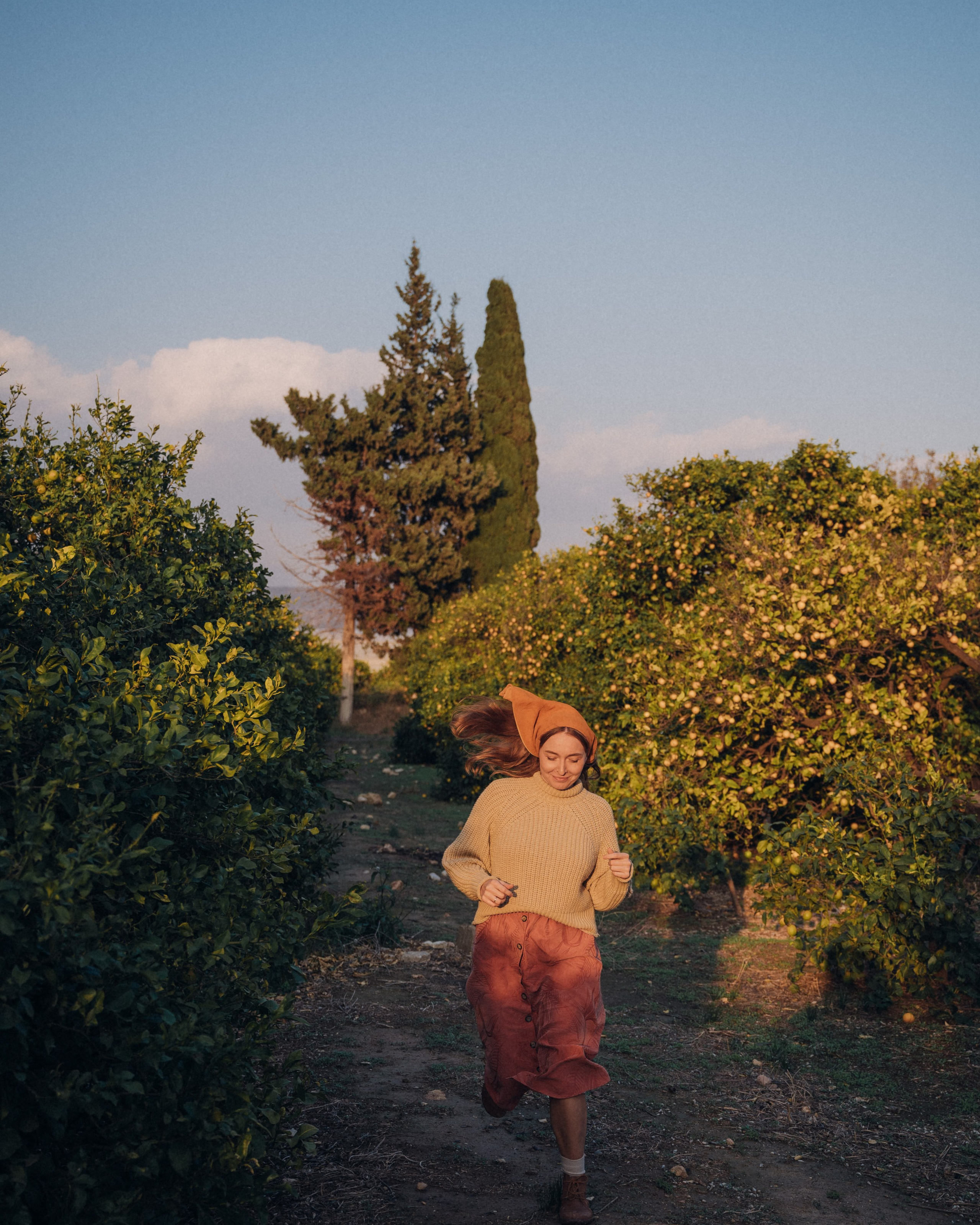 Сбор урожая