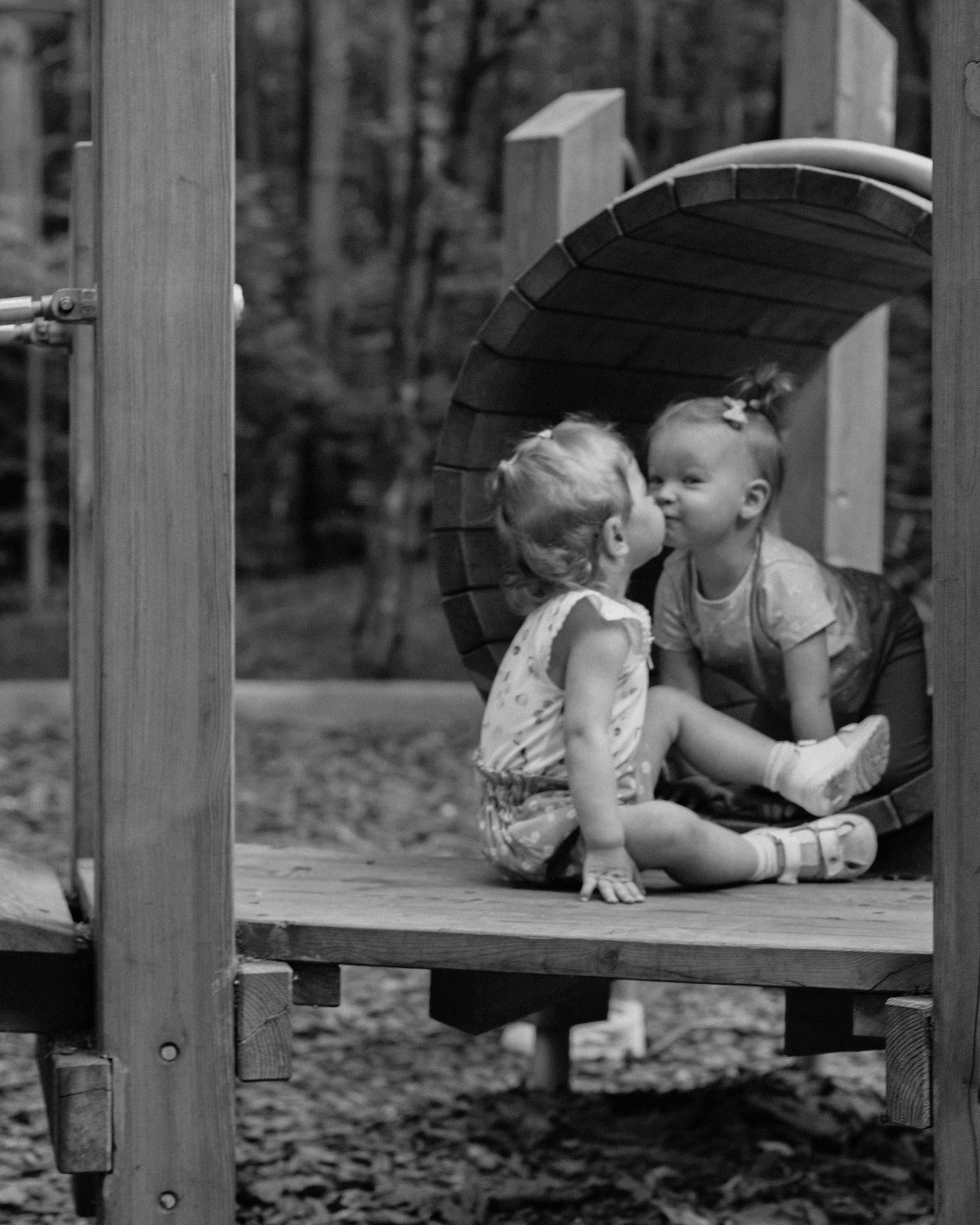 Прогулка Мещерский