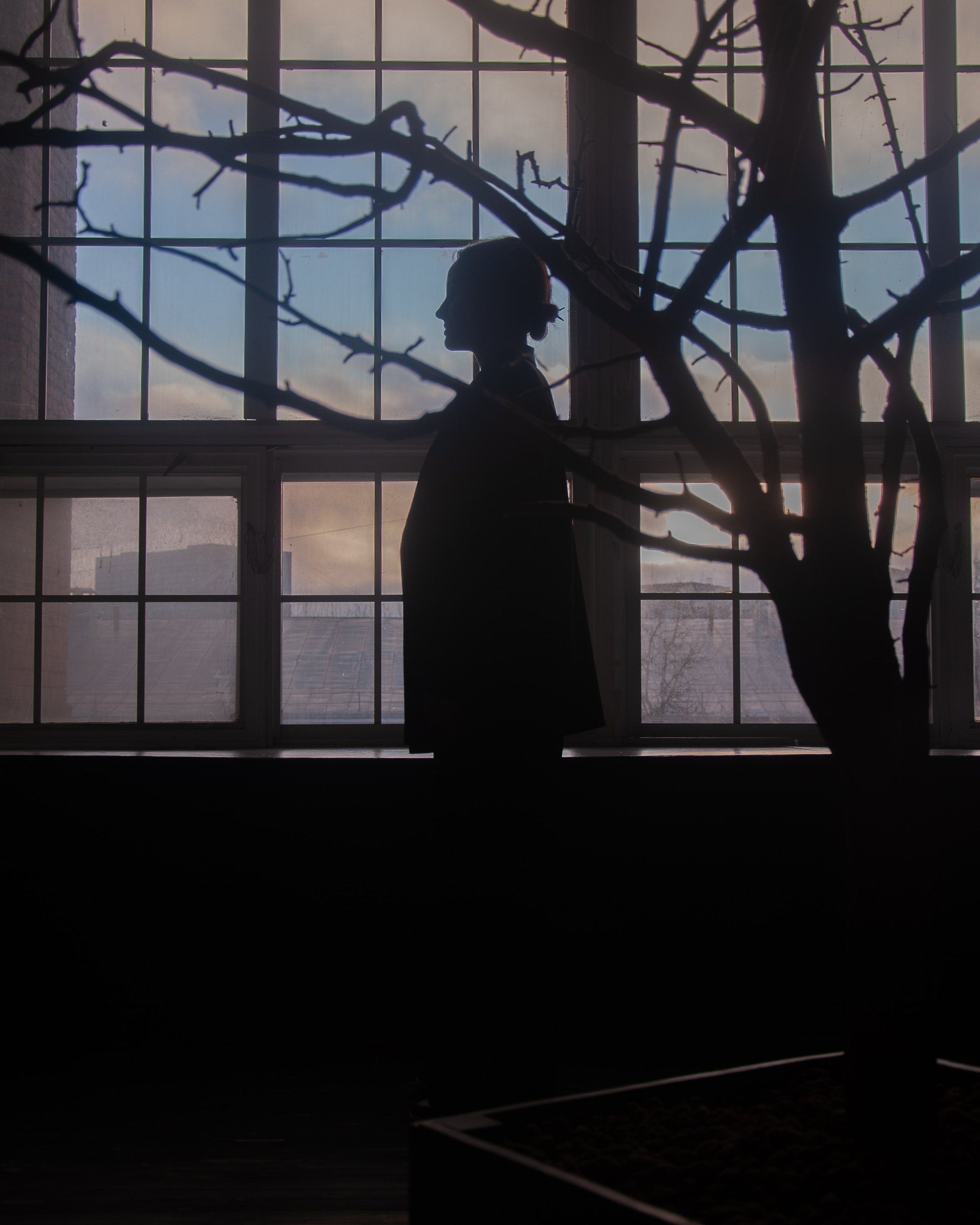 Благородство