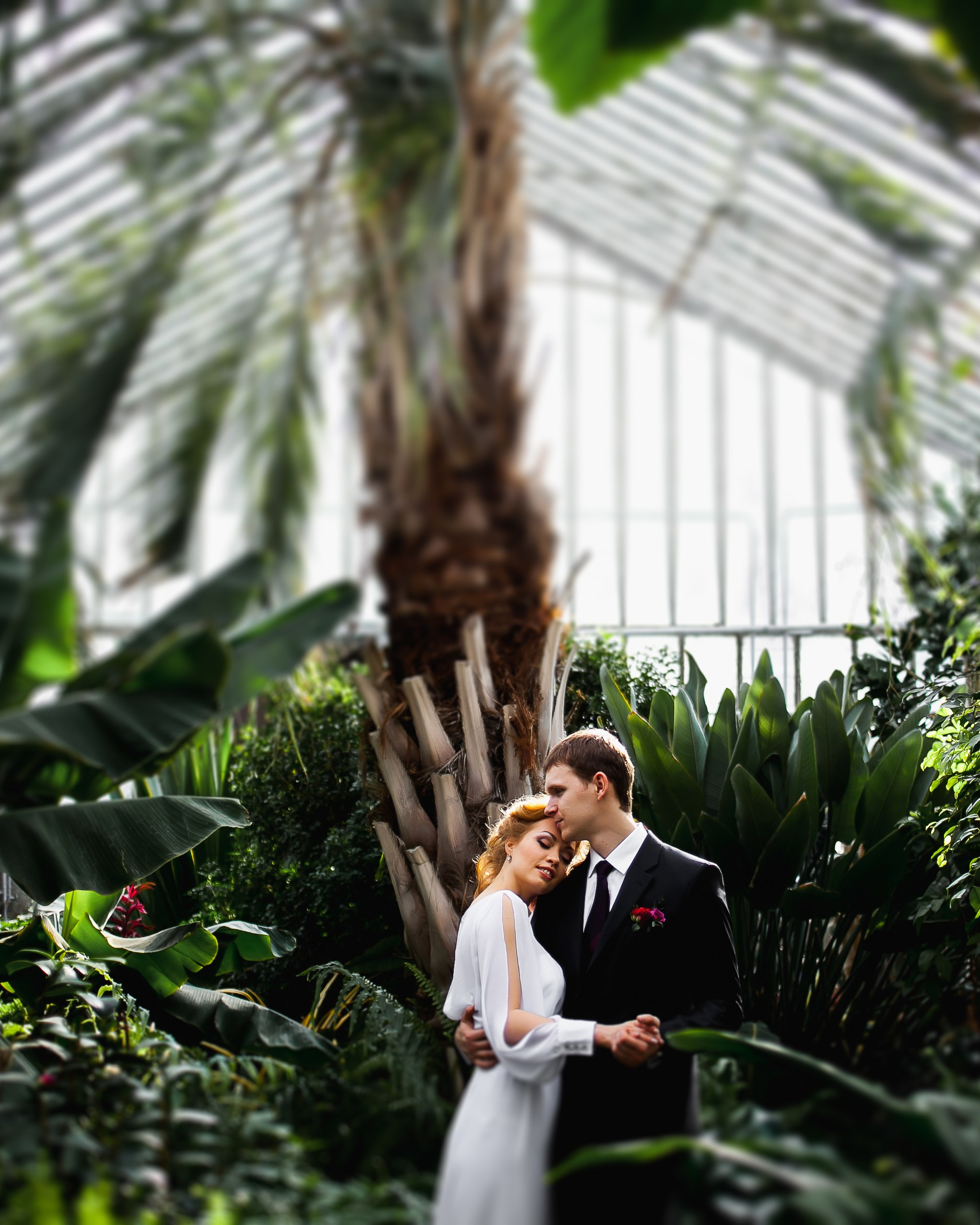 Свадьба Антона и Оли