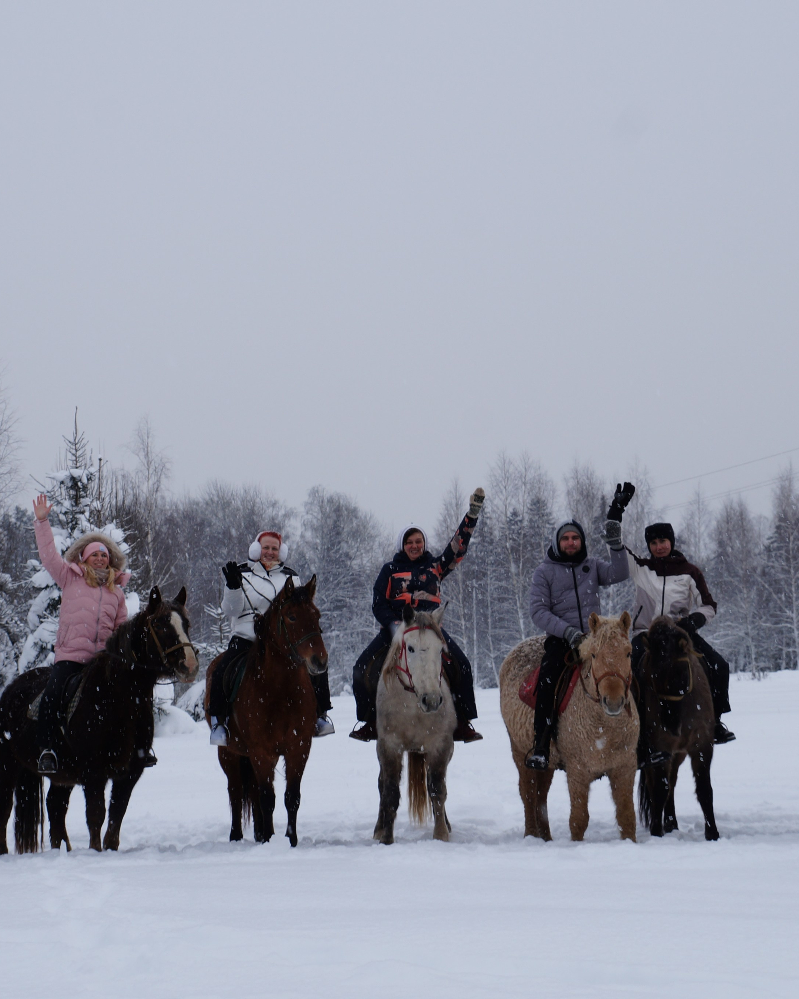 Лошадинг | 11.01.2026