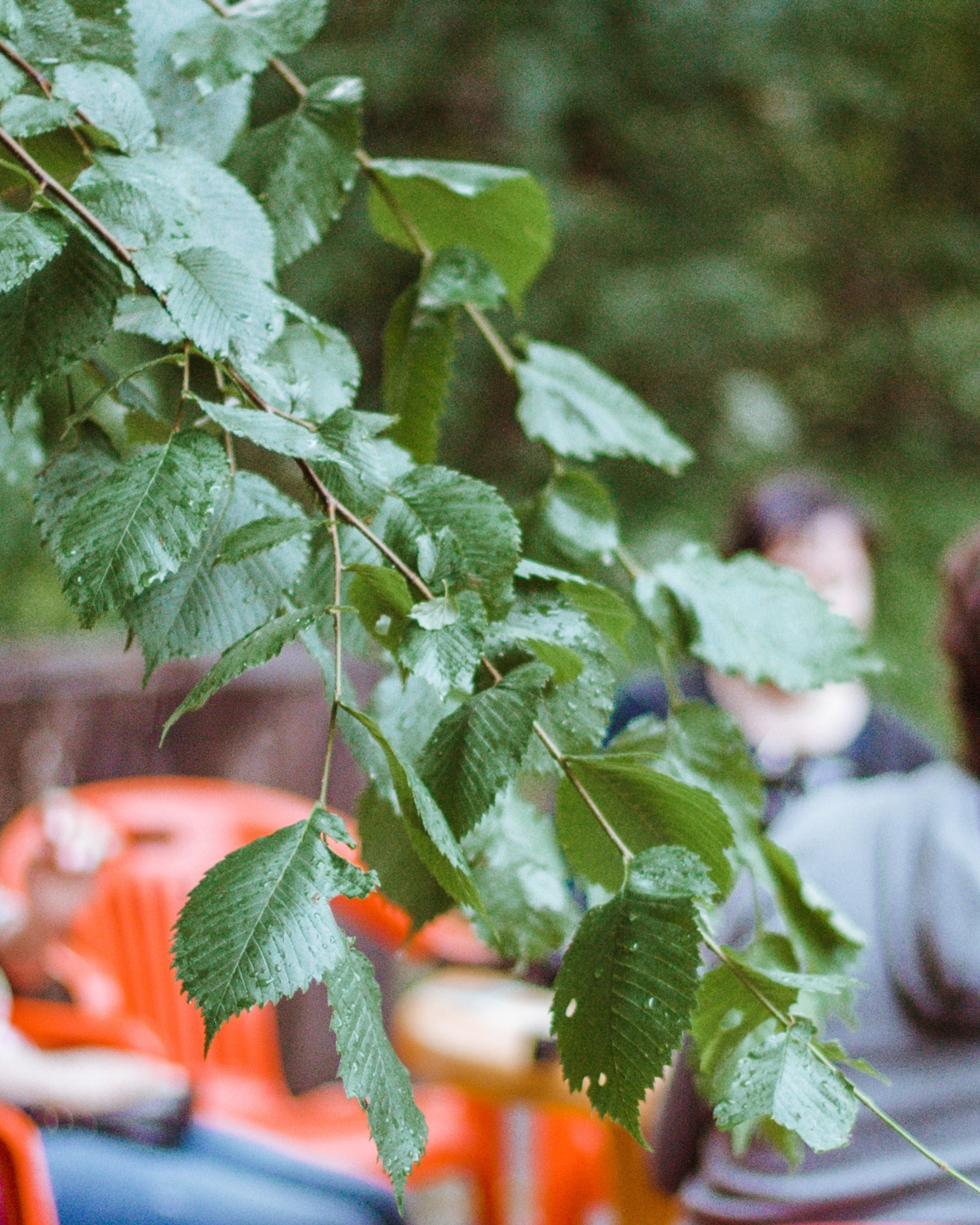Шашлыки с&nbsp;ночевкой | 20-21.06.20