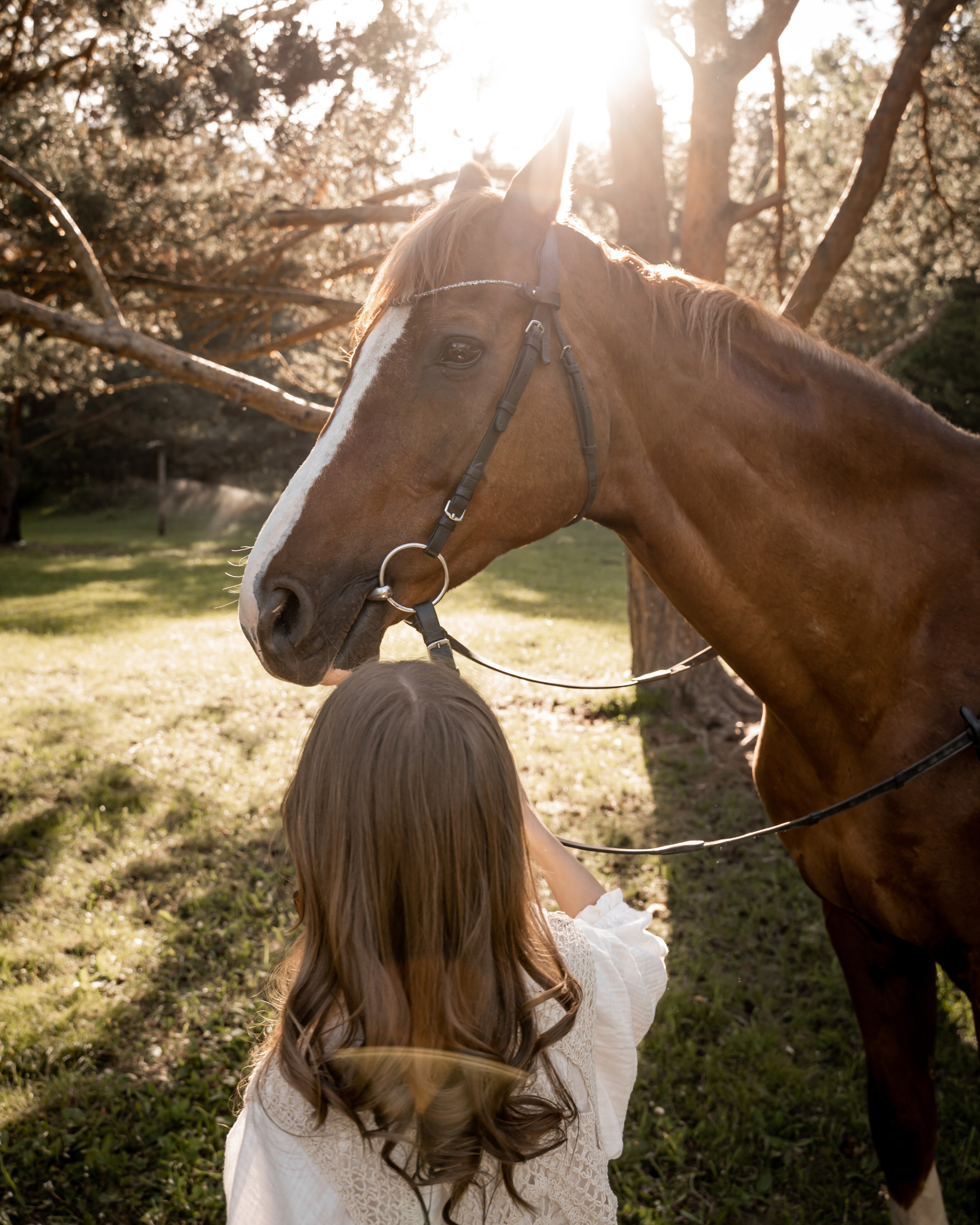 Семейная история с лошадьми