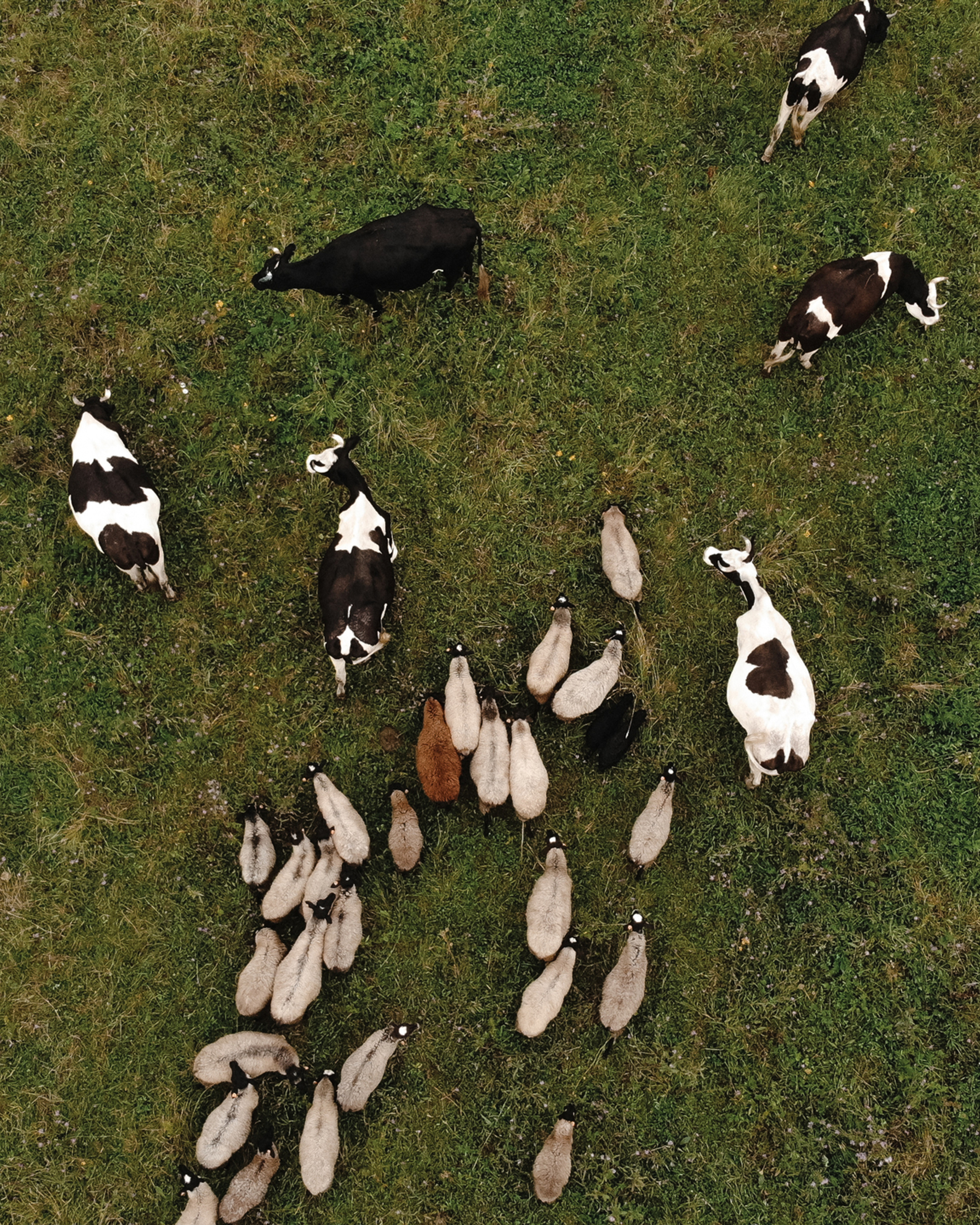 -А можно нам Имперский Марш? — Да меня ж уволят!