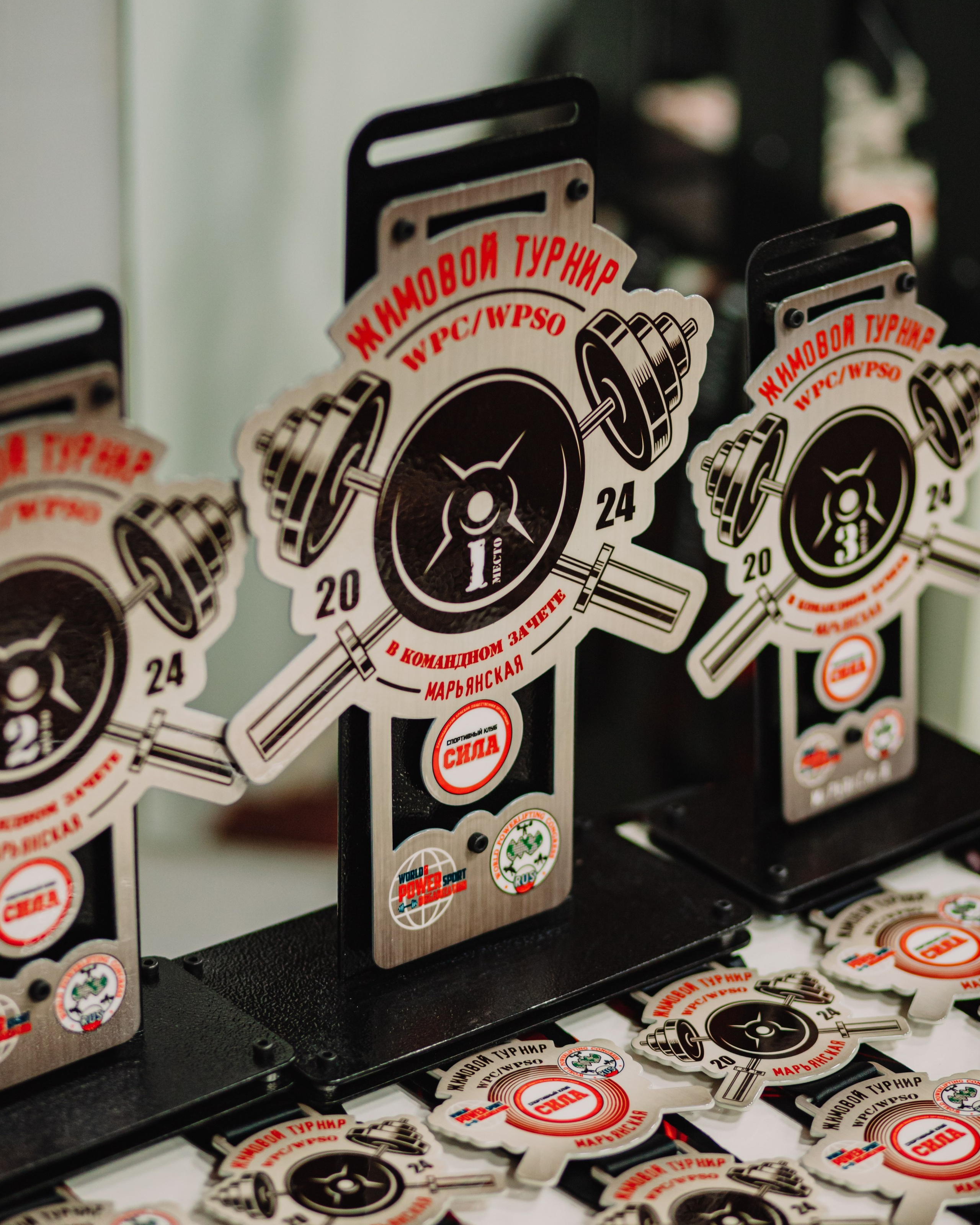 Жимовой Турнир 2024