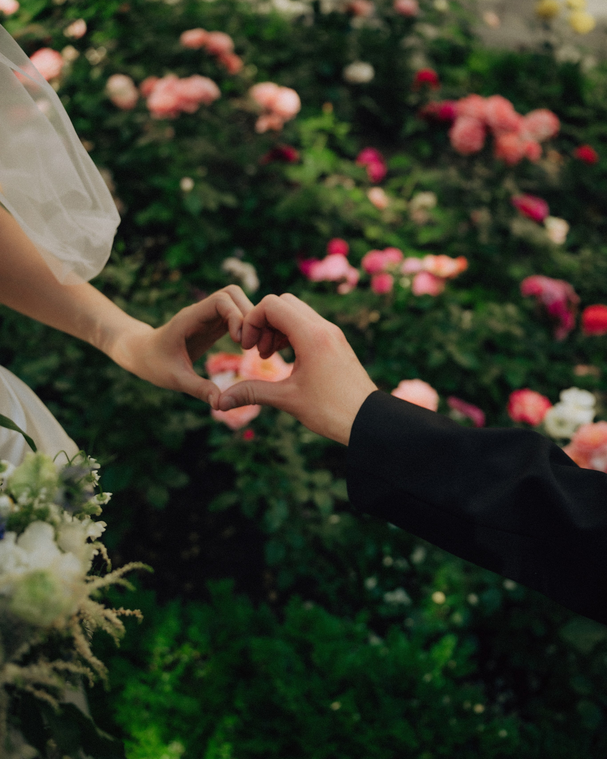 IV ● VII ● одноклассники