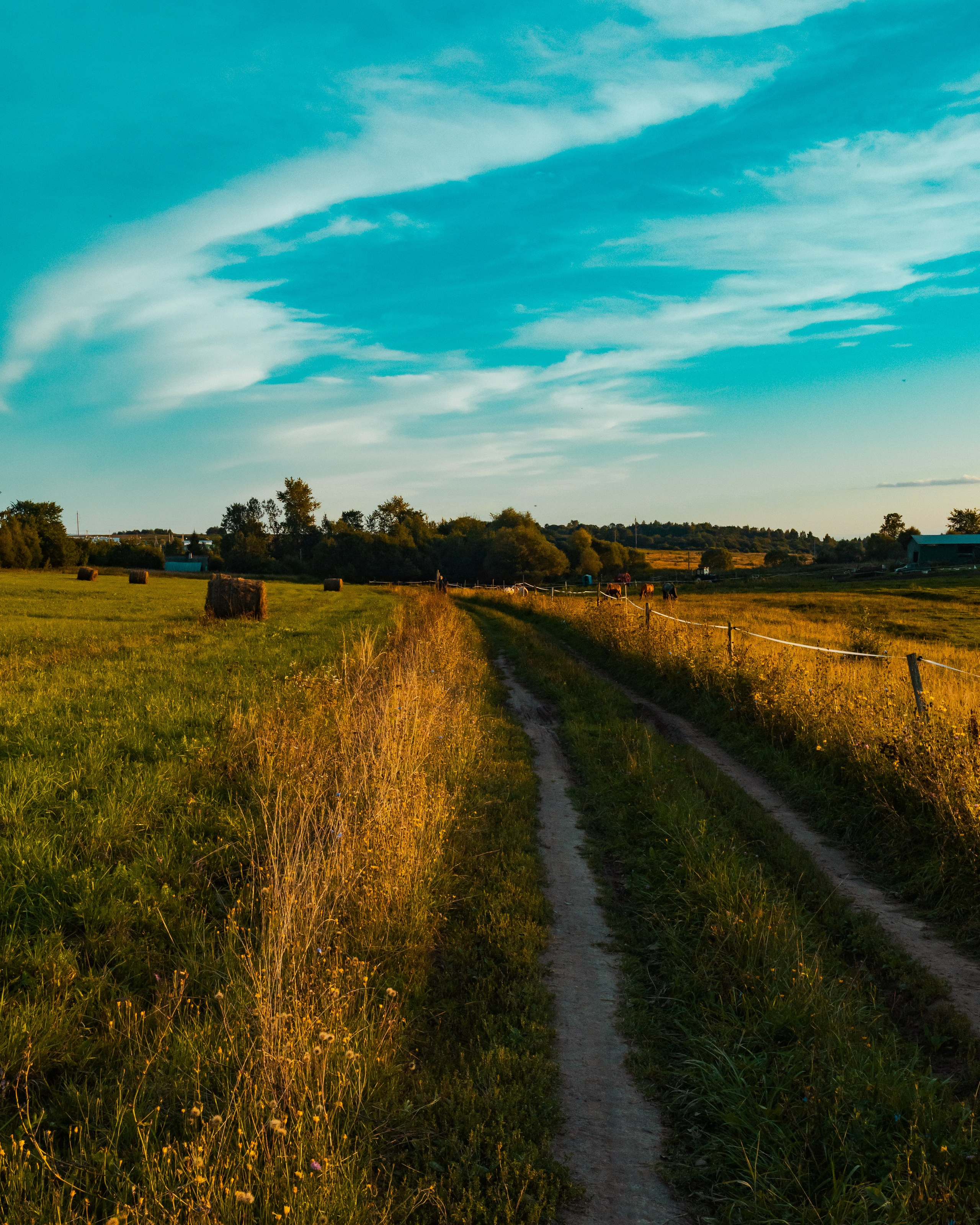 деревня Мишнево | Калужская область