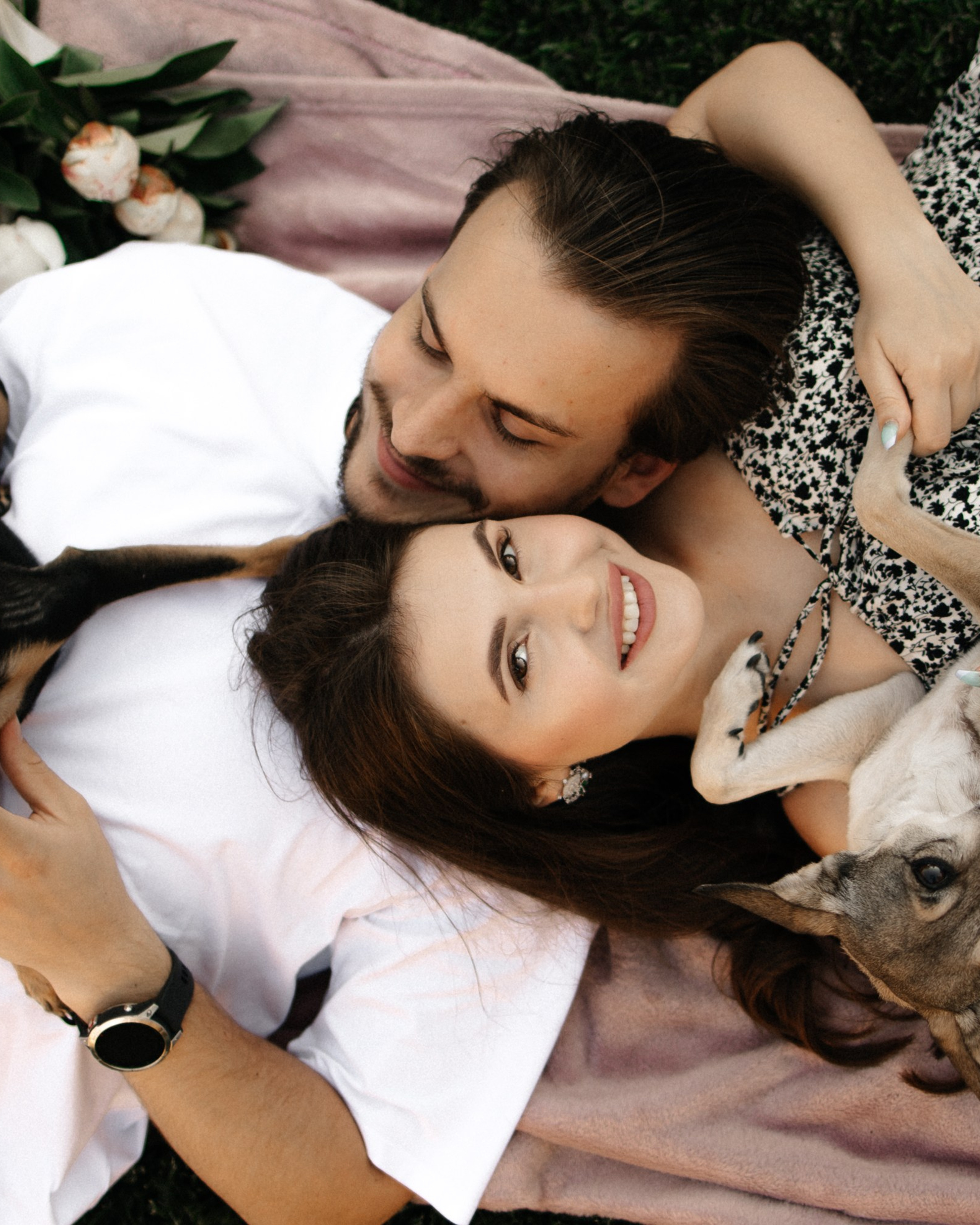 Love story с&nbsp;собачками