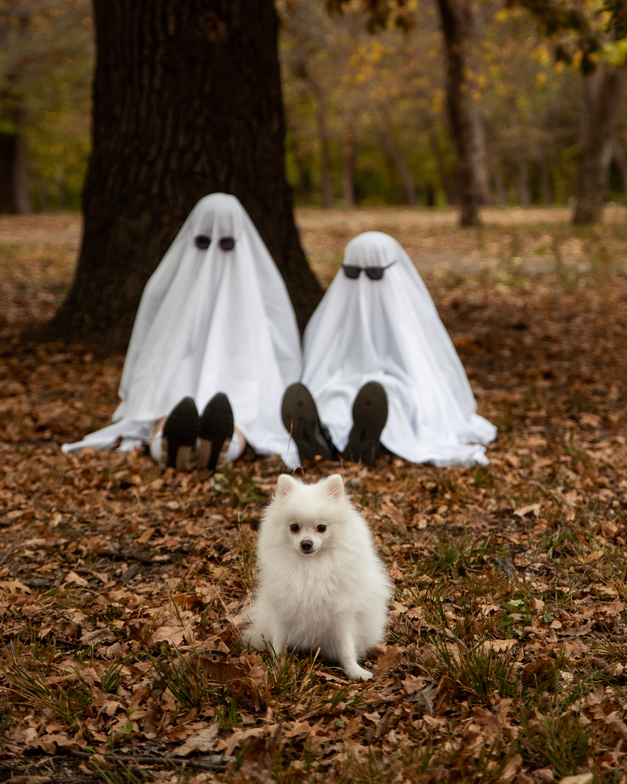 Вика и Стас на «Хэллоуин»