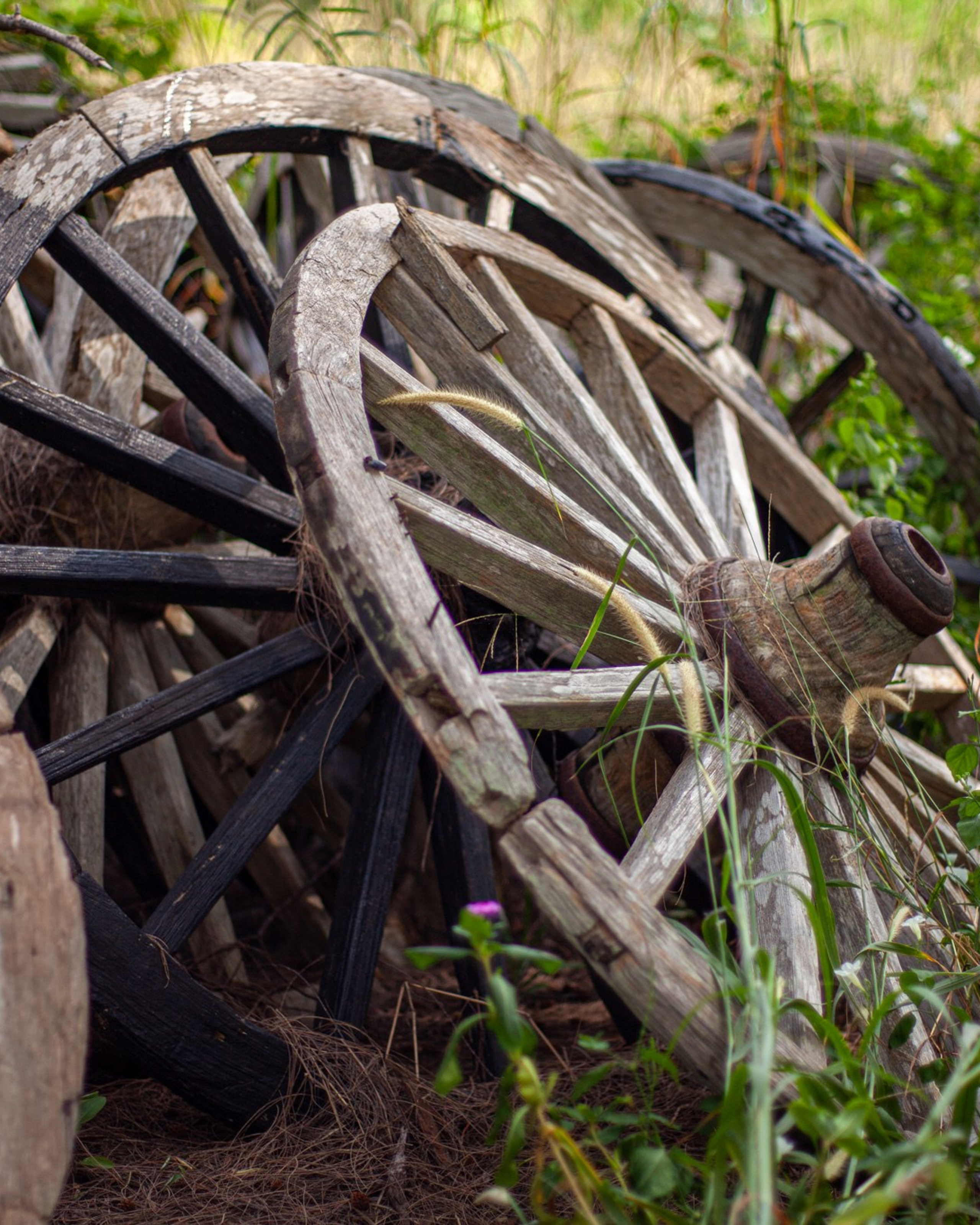 Находка в Таиланде, 2011