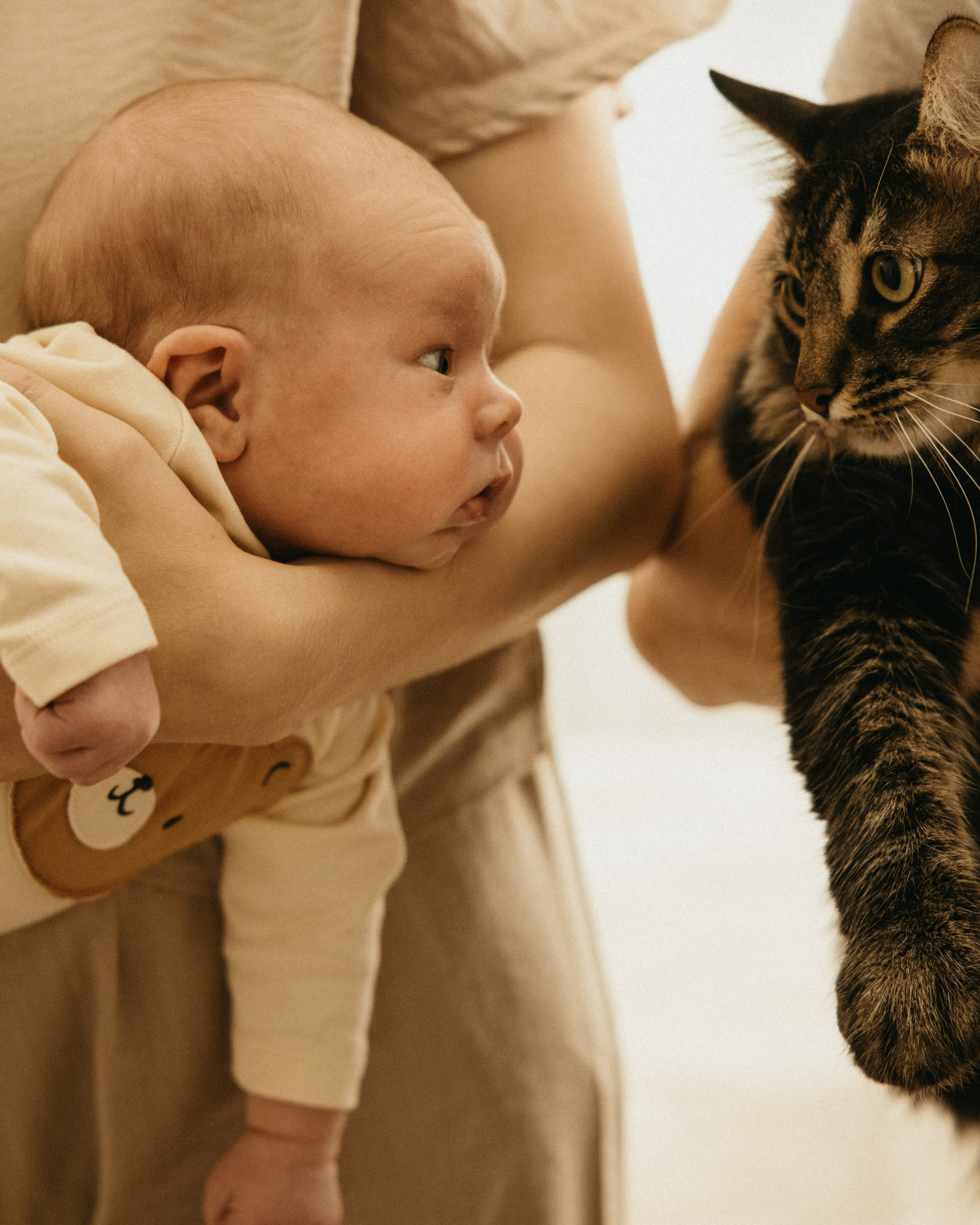 Домашняя съёмка