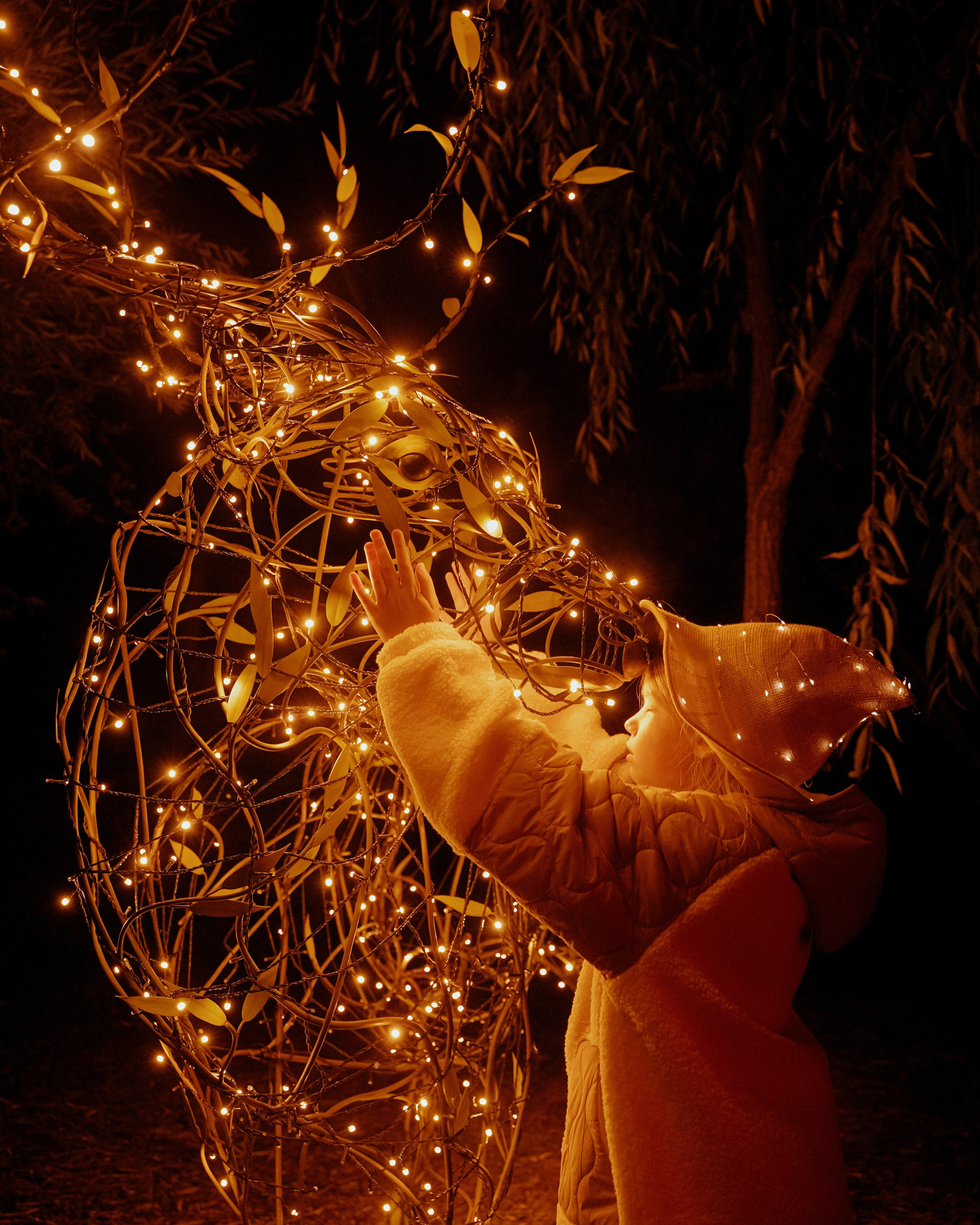 ~ Про свет волшебства ~