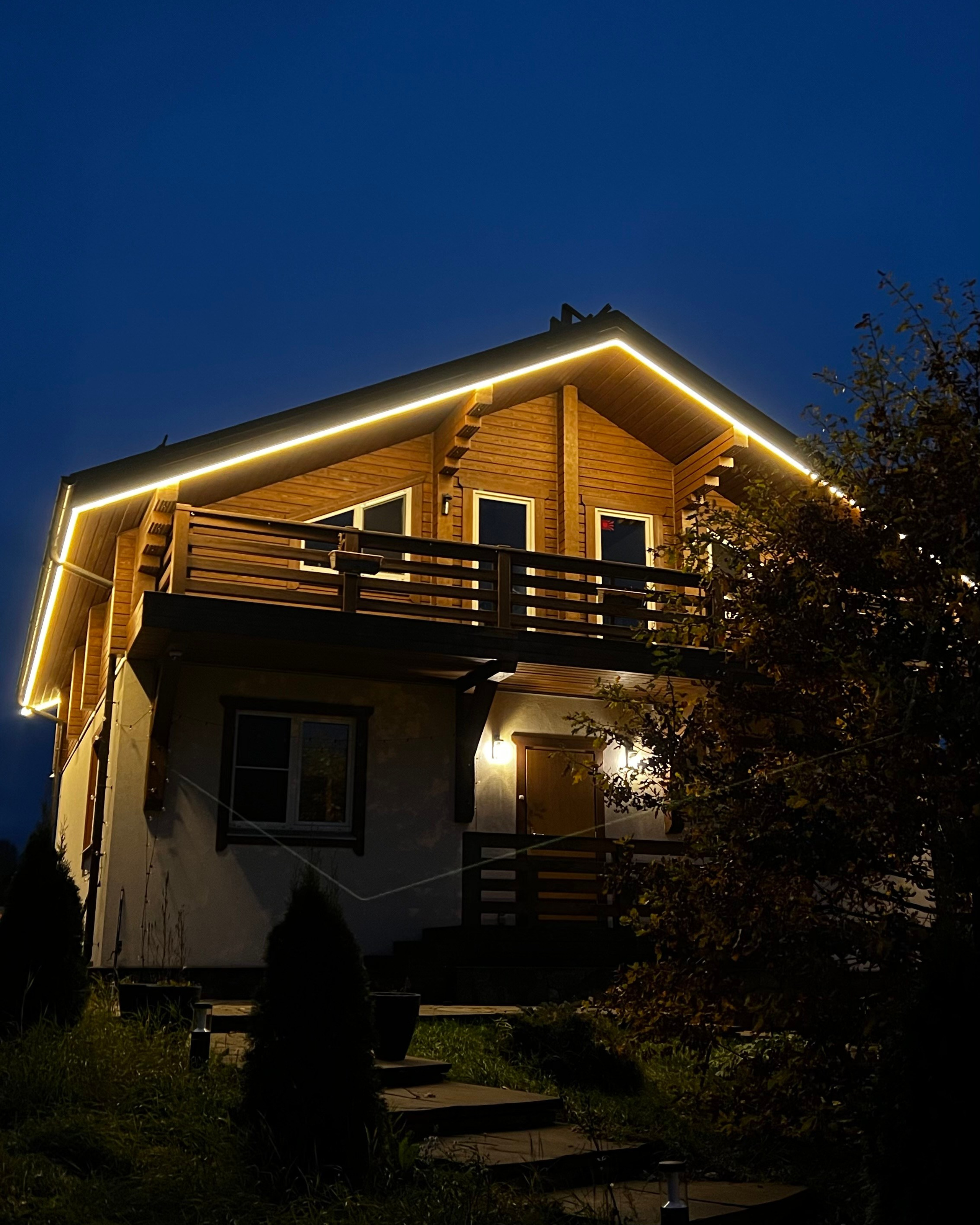 Функциональная Эстетика Неона