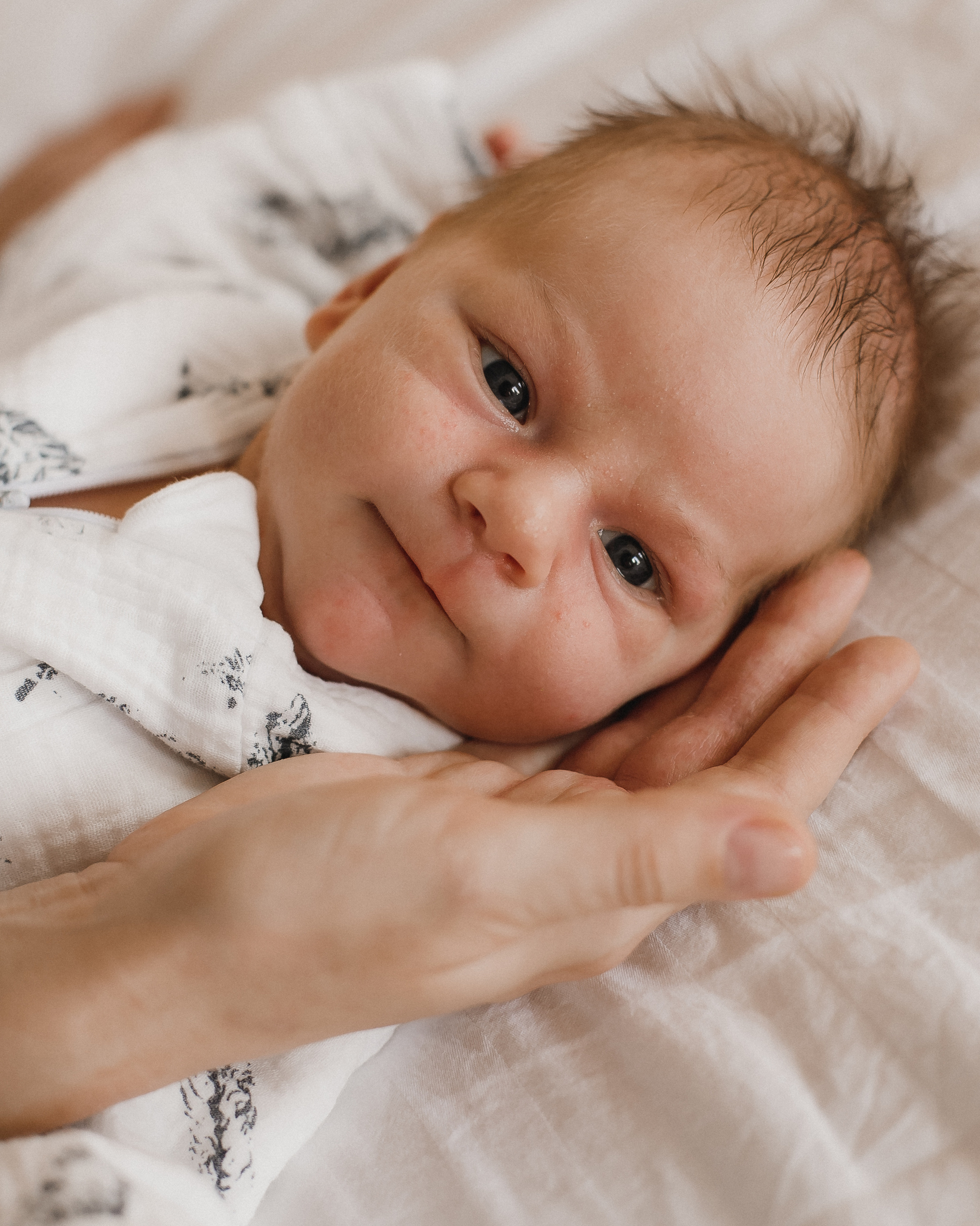 Мама Папа Лев