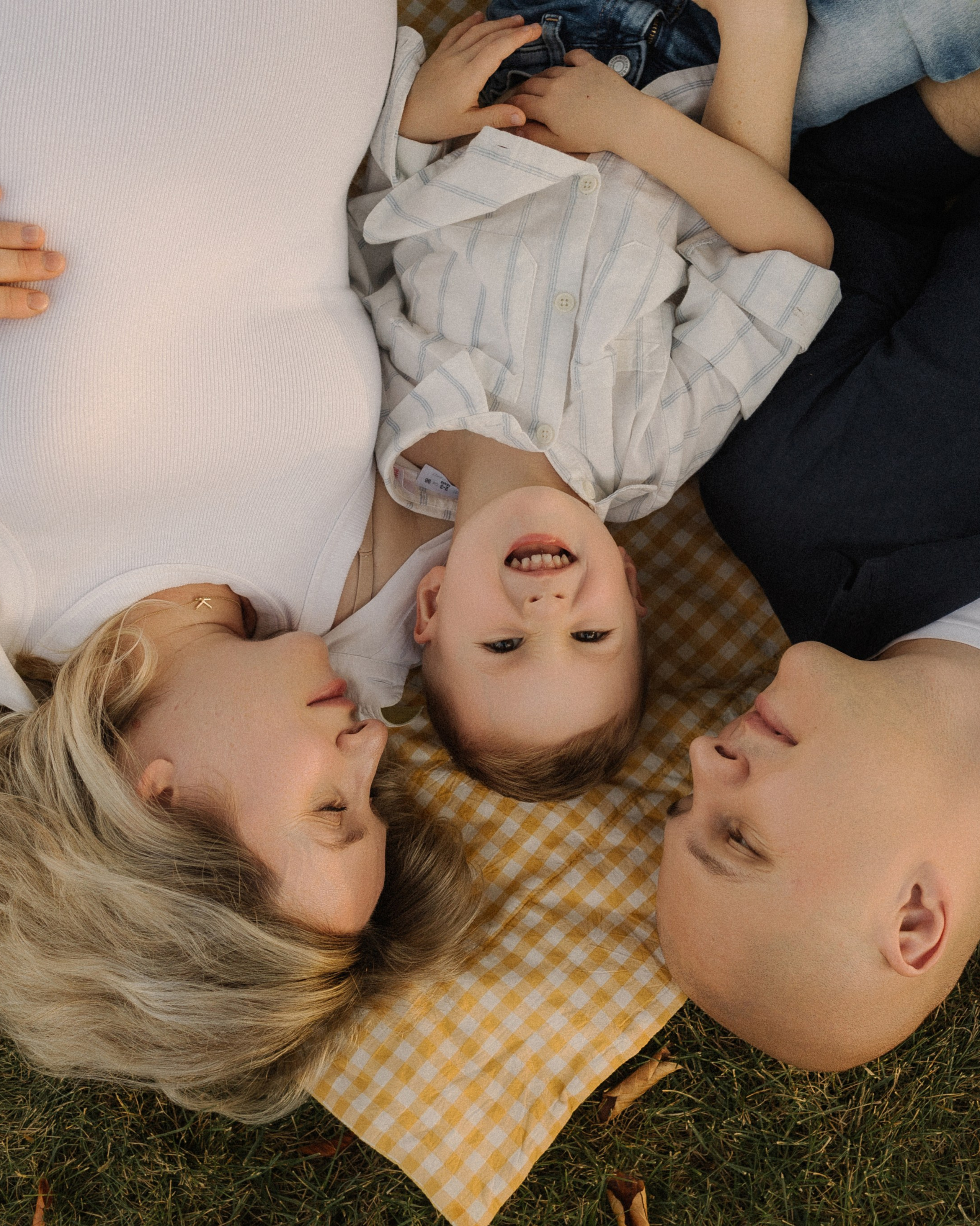 Фокс и его команда