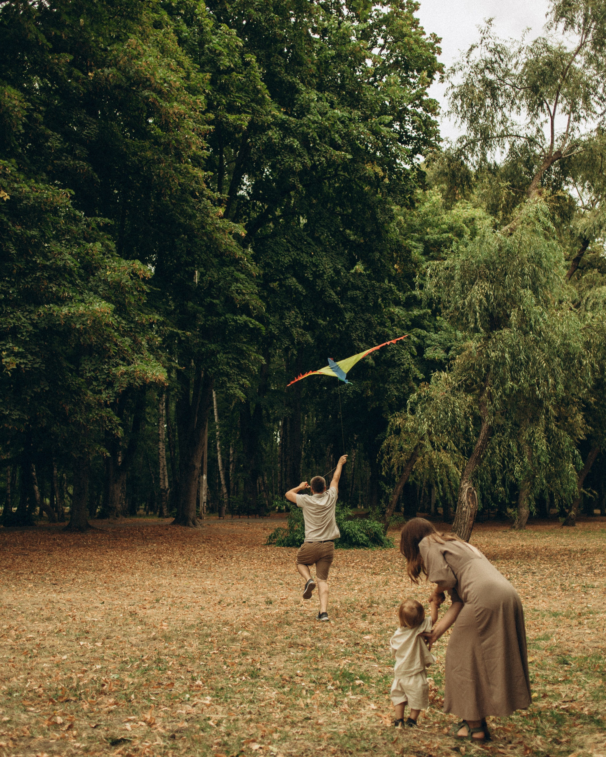 Лев и его команда