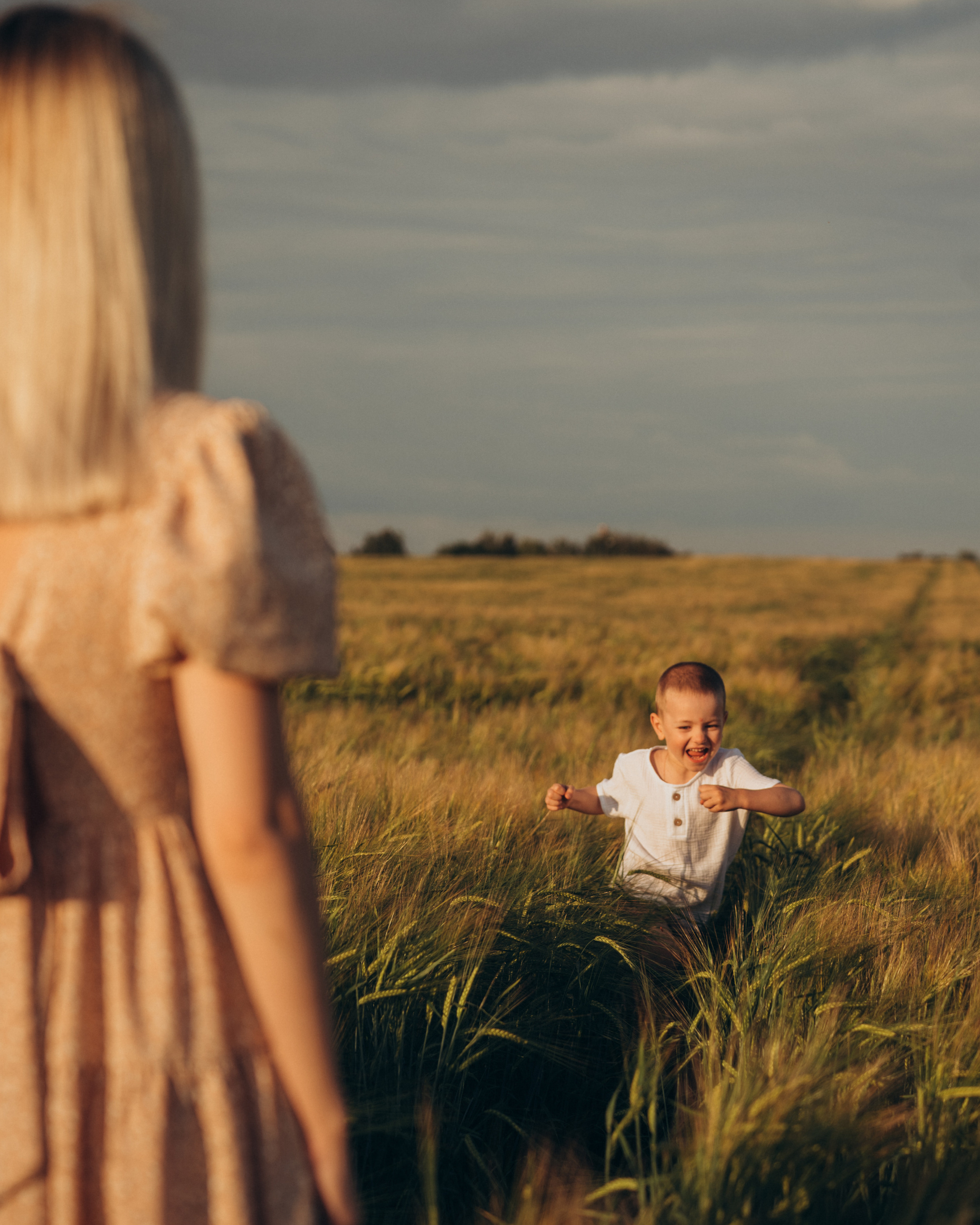Пшеничные поля