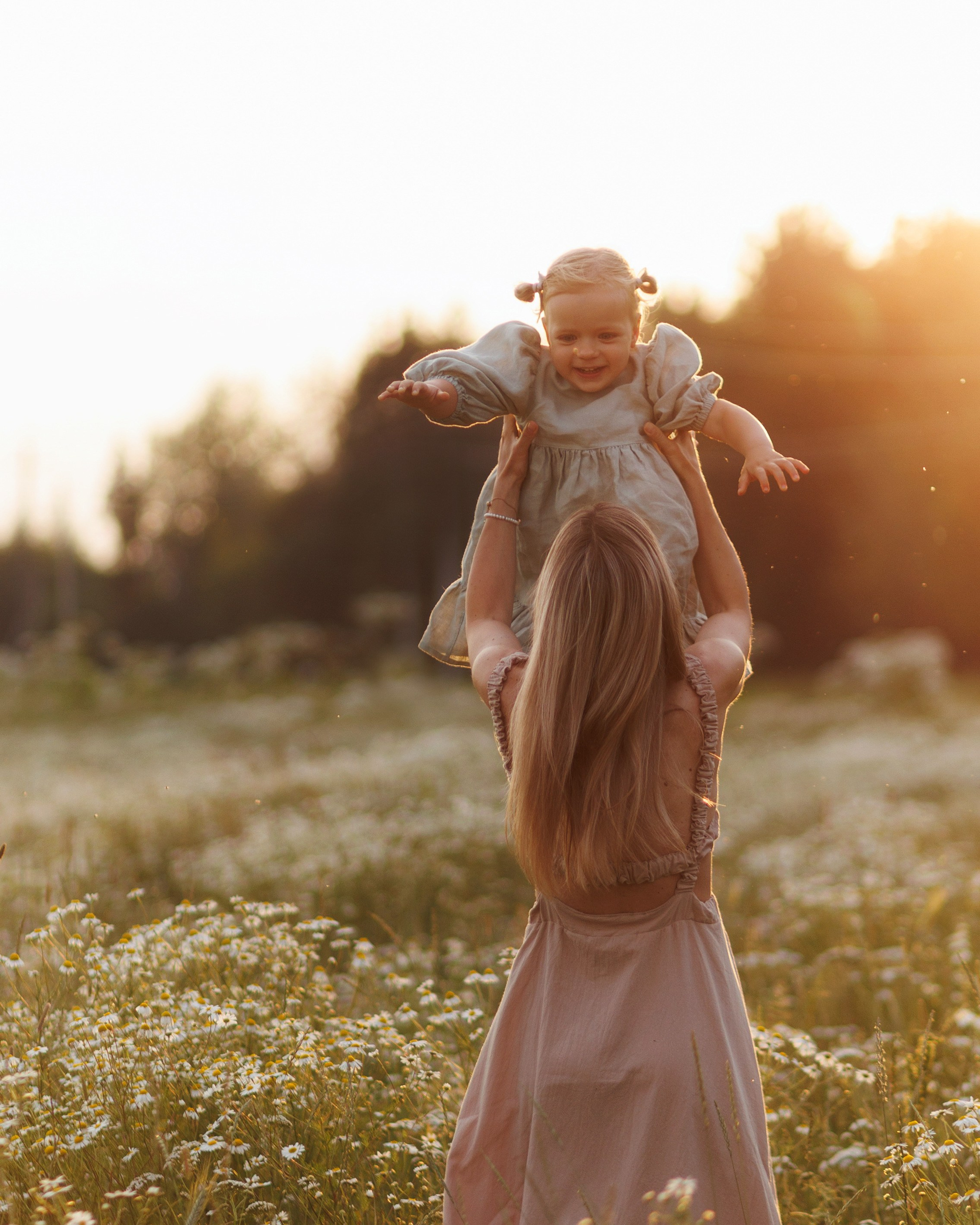В ромашковом поле