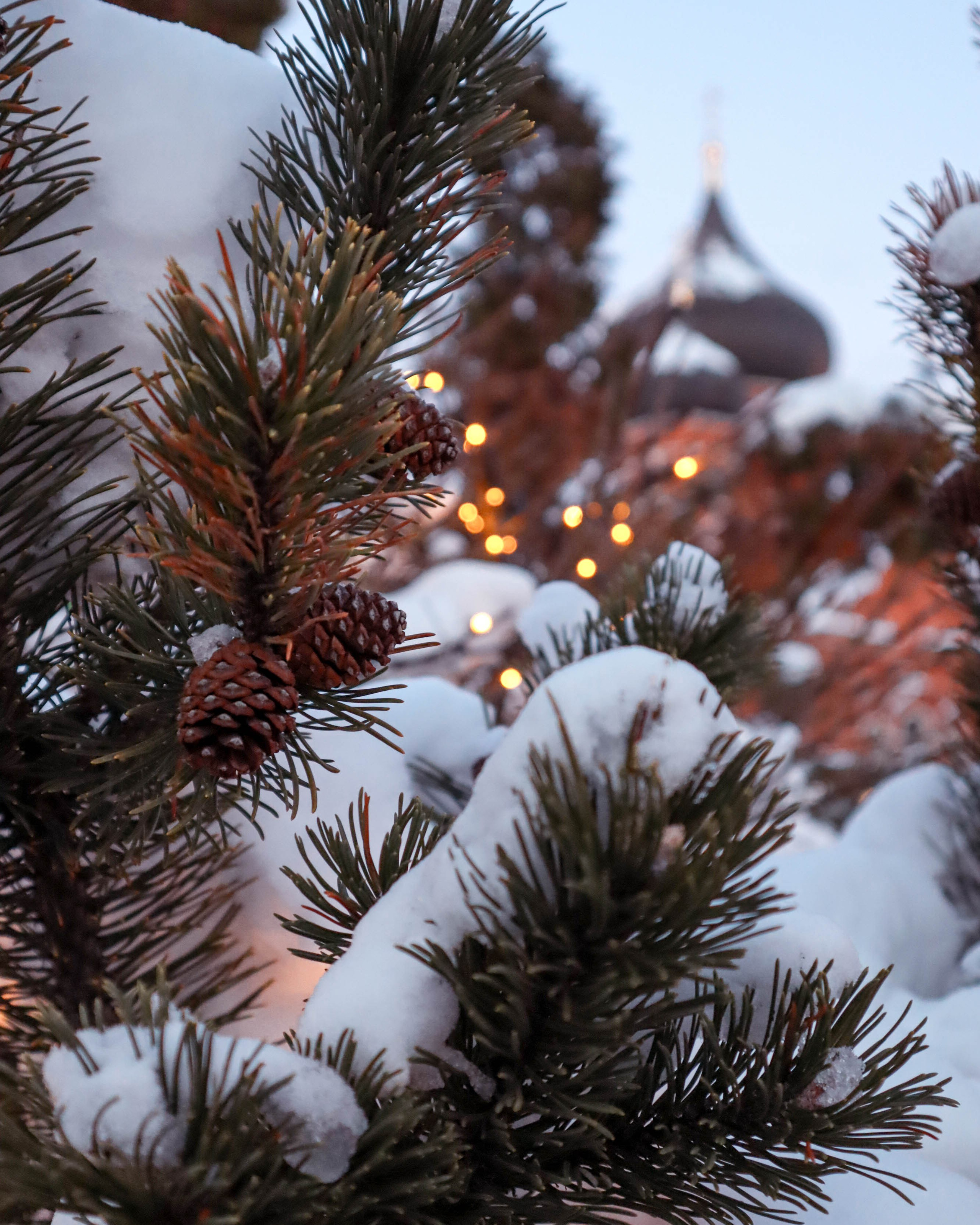 Новогодняя Тула