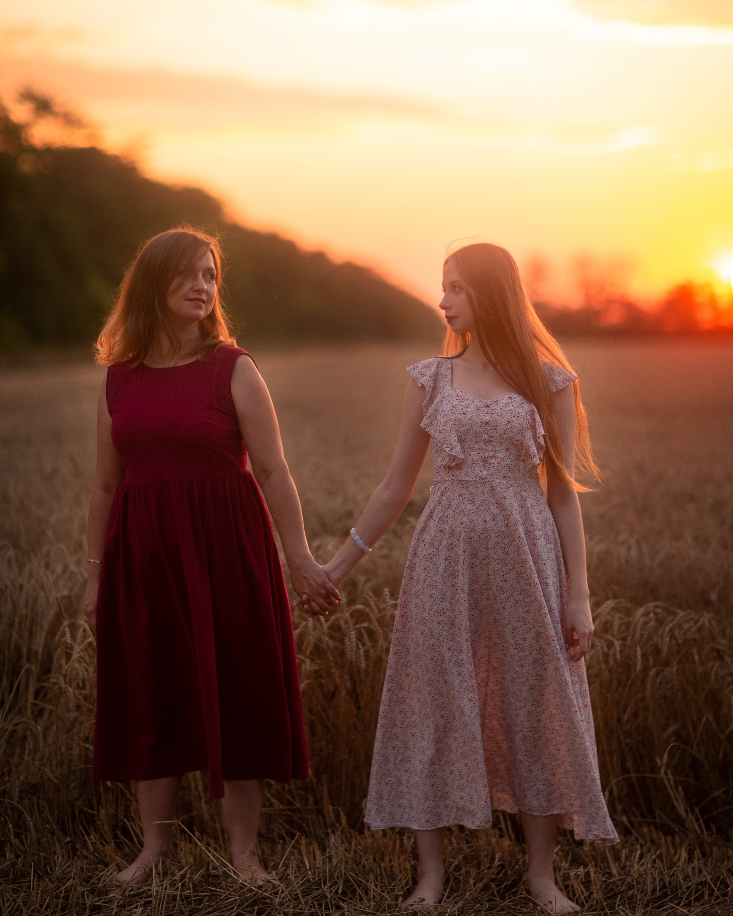 Закат в пшеничном поле