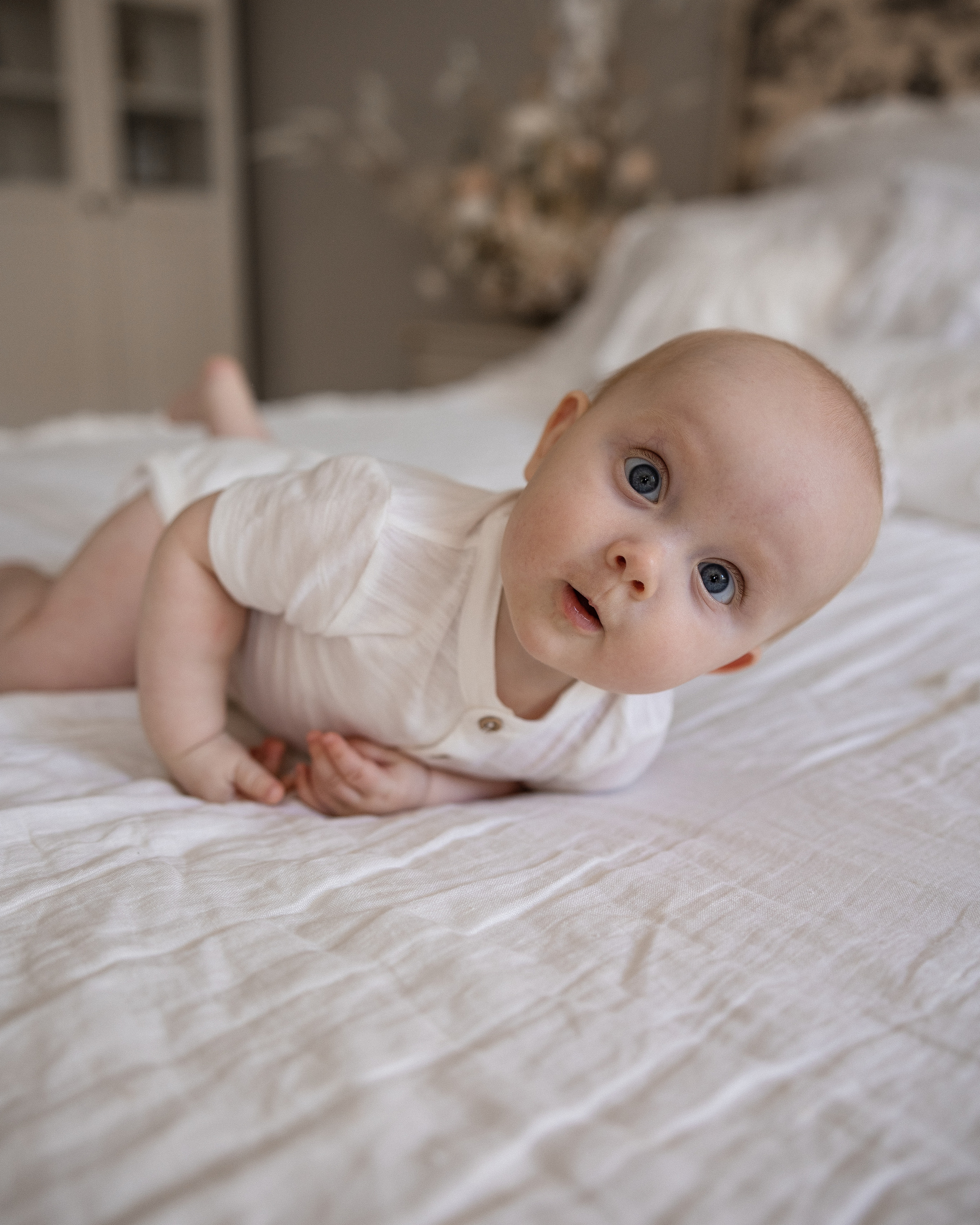 Семейная в студии