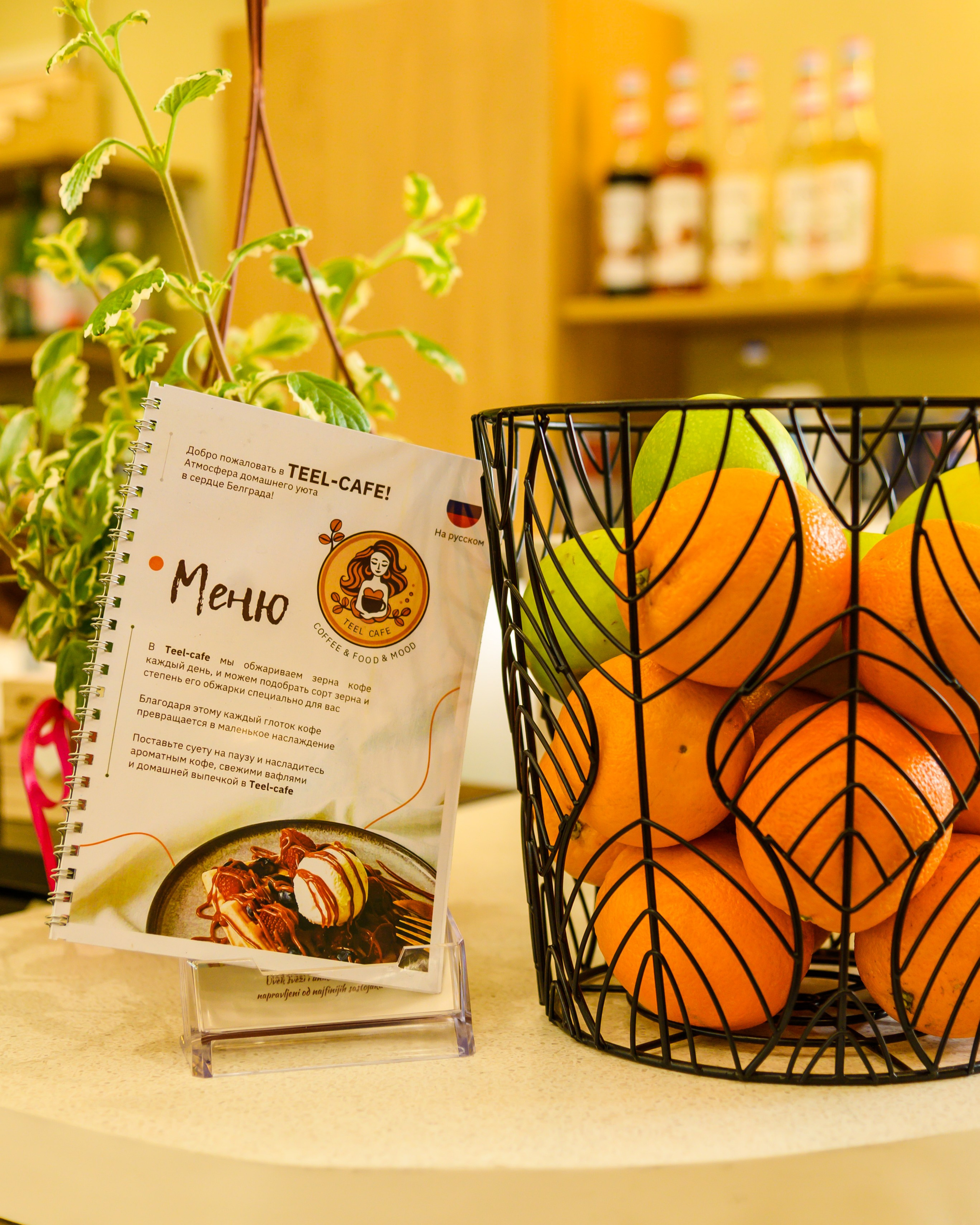 Открытие Teel — cafe г.Белград