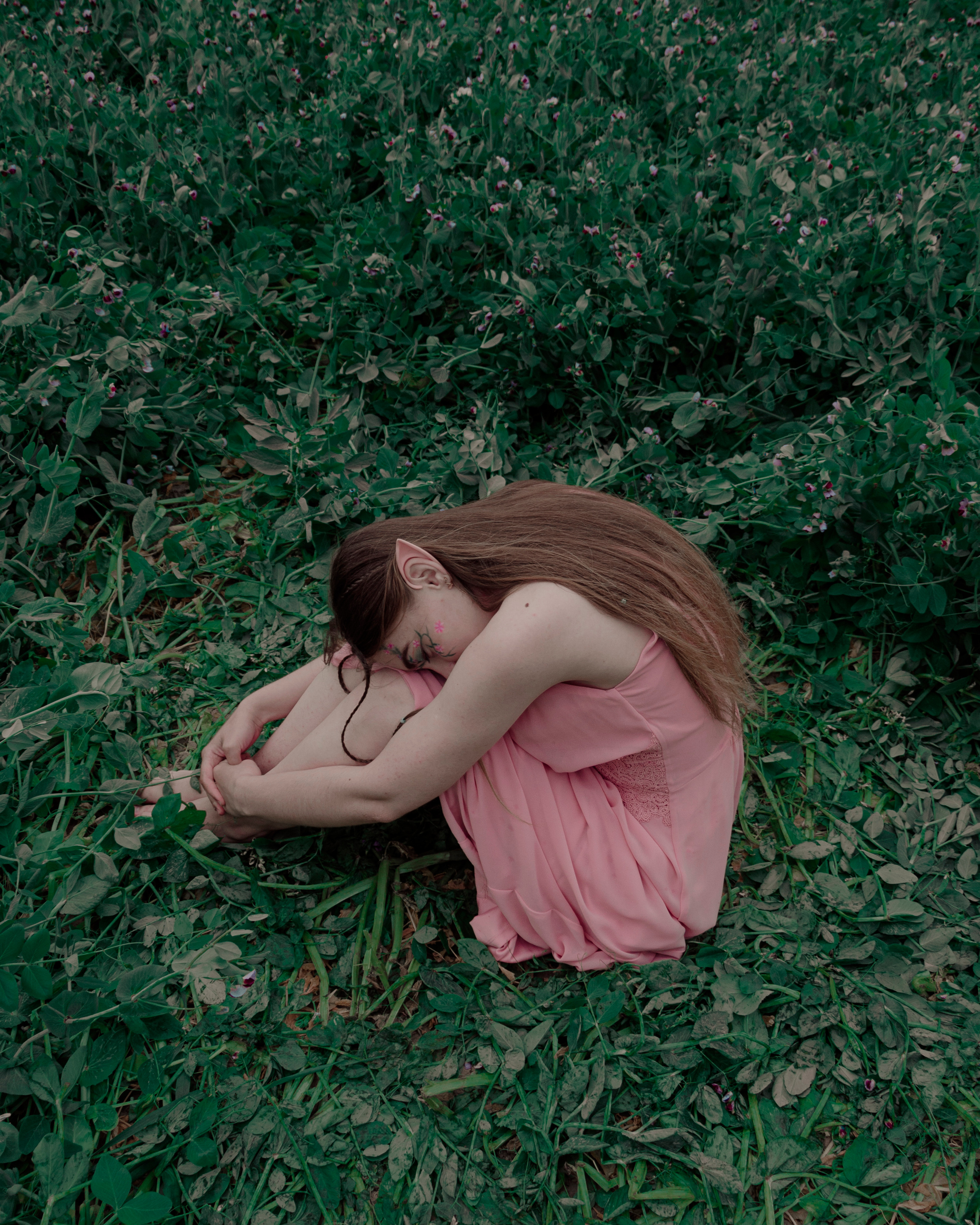 The elf whith the violin