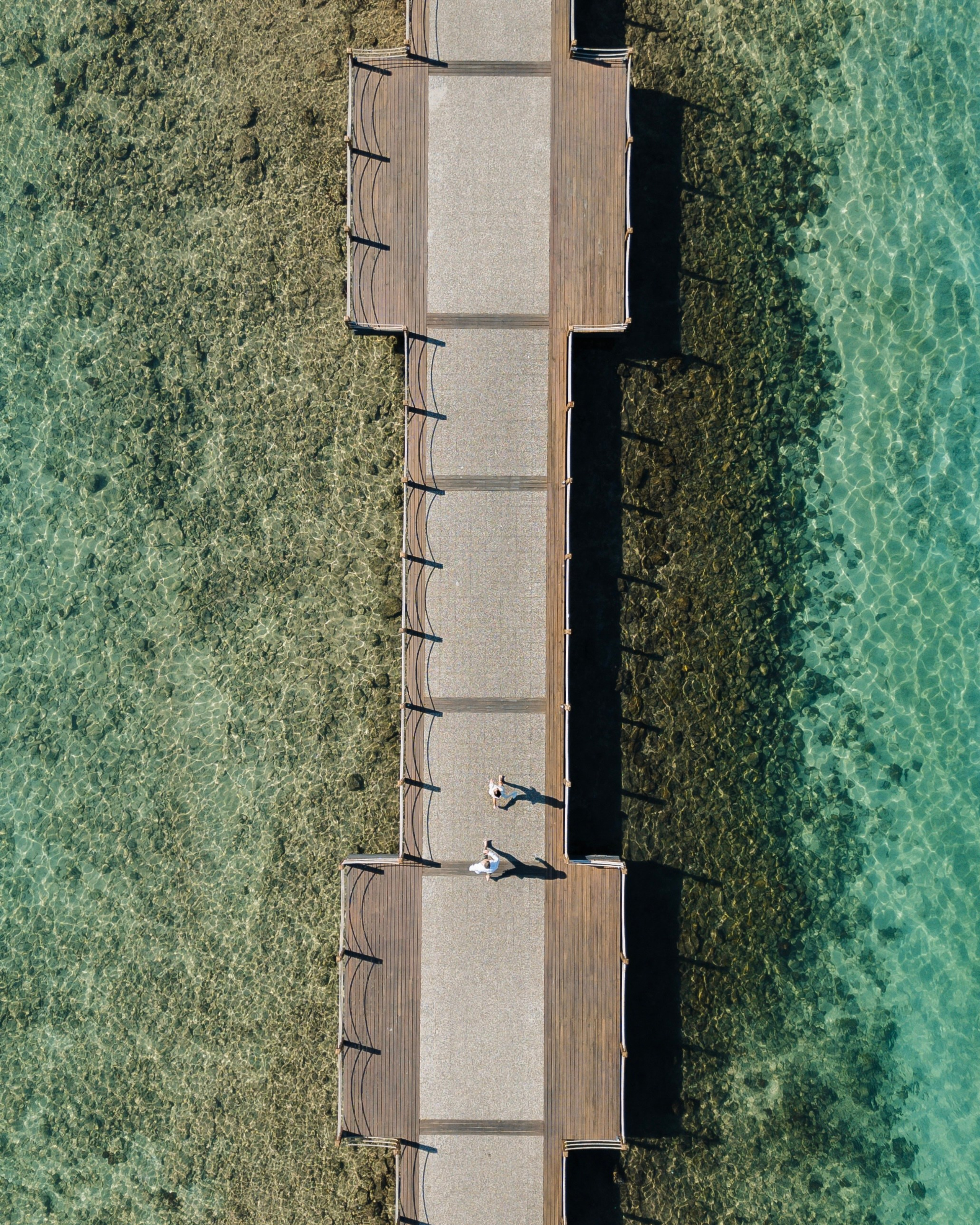 Алиса | Антон