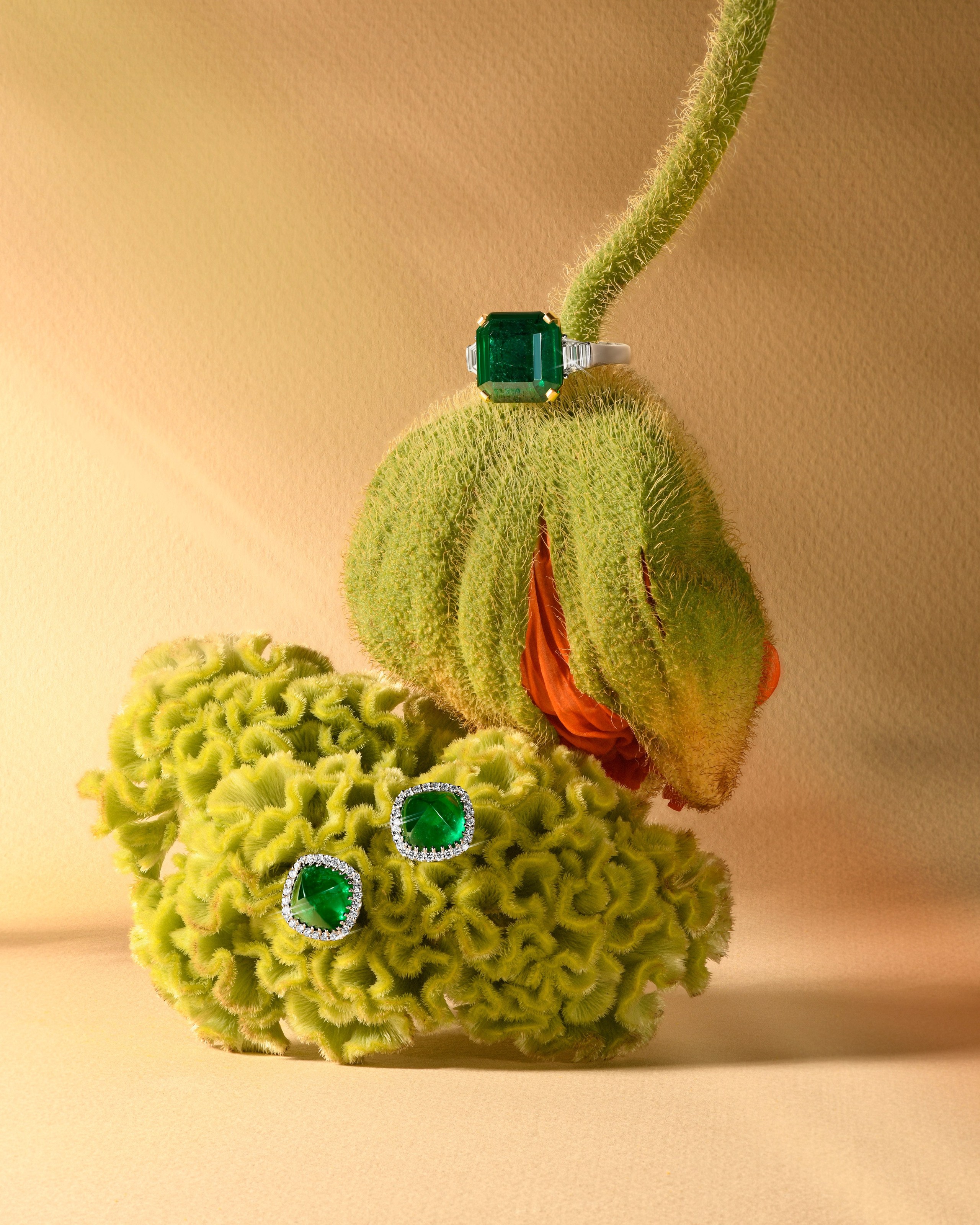 Предметная фотосъемка