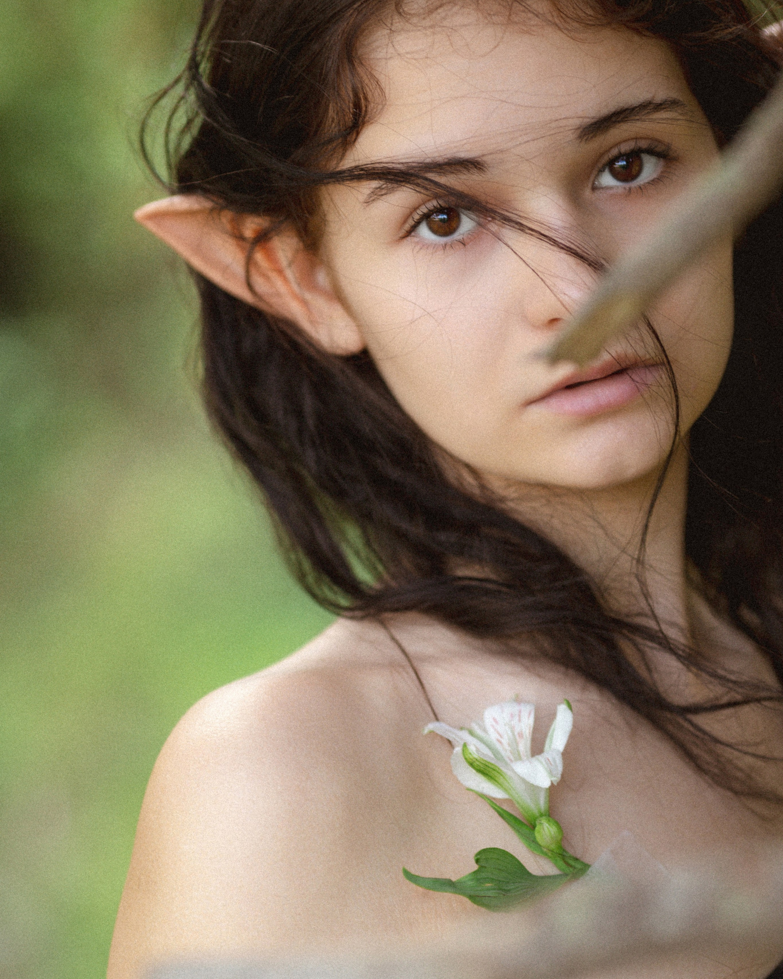 В Сахалинском лесу