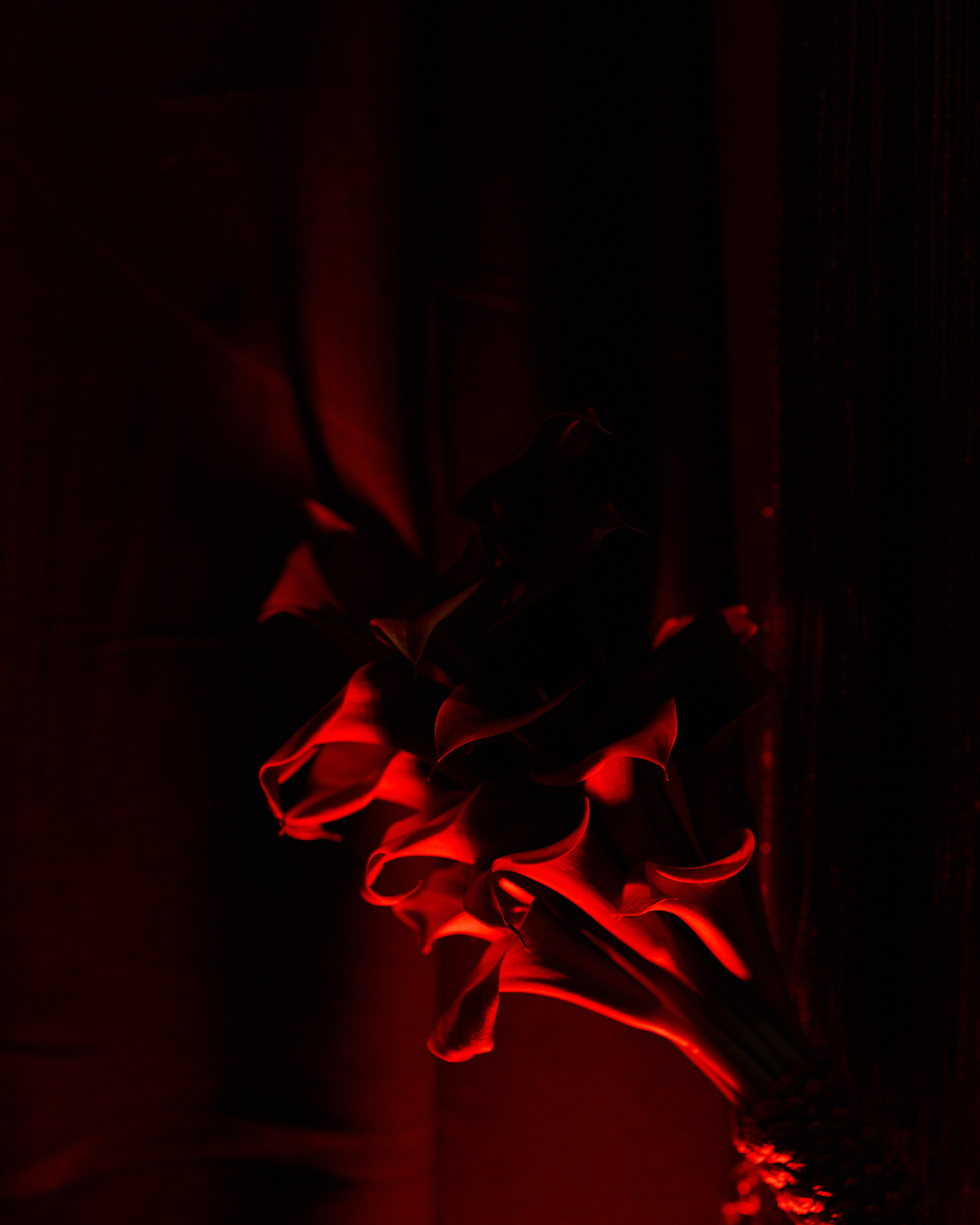 Валерий & Злата