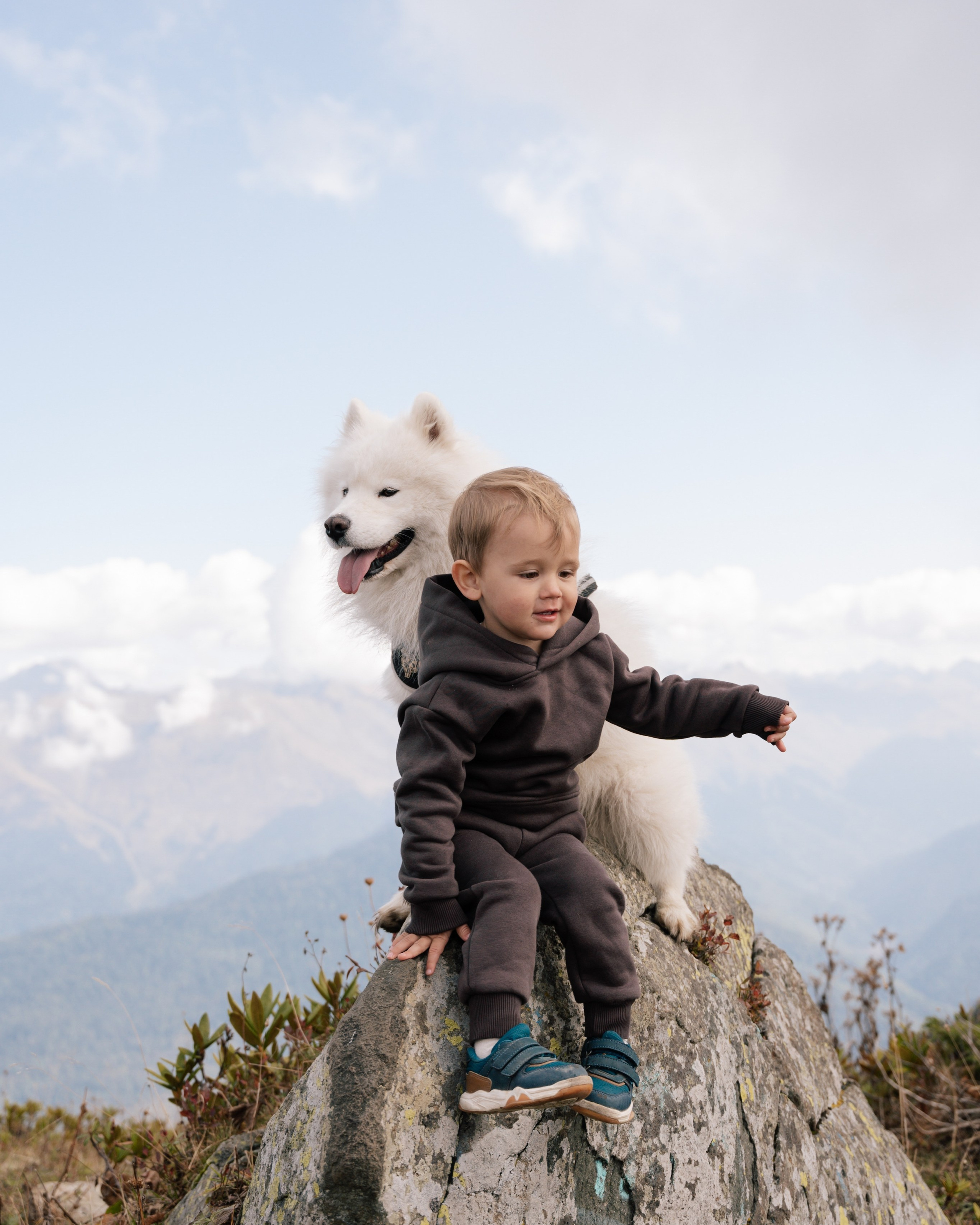 Выше гор только любовь