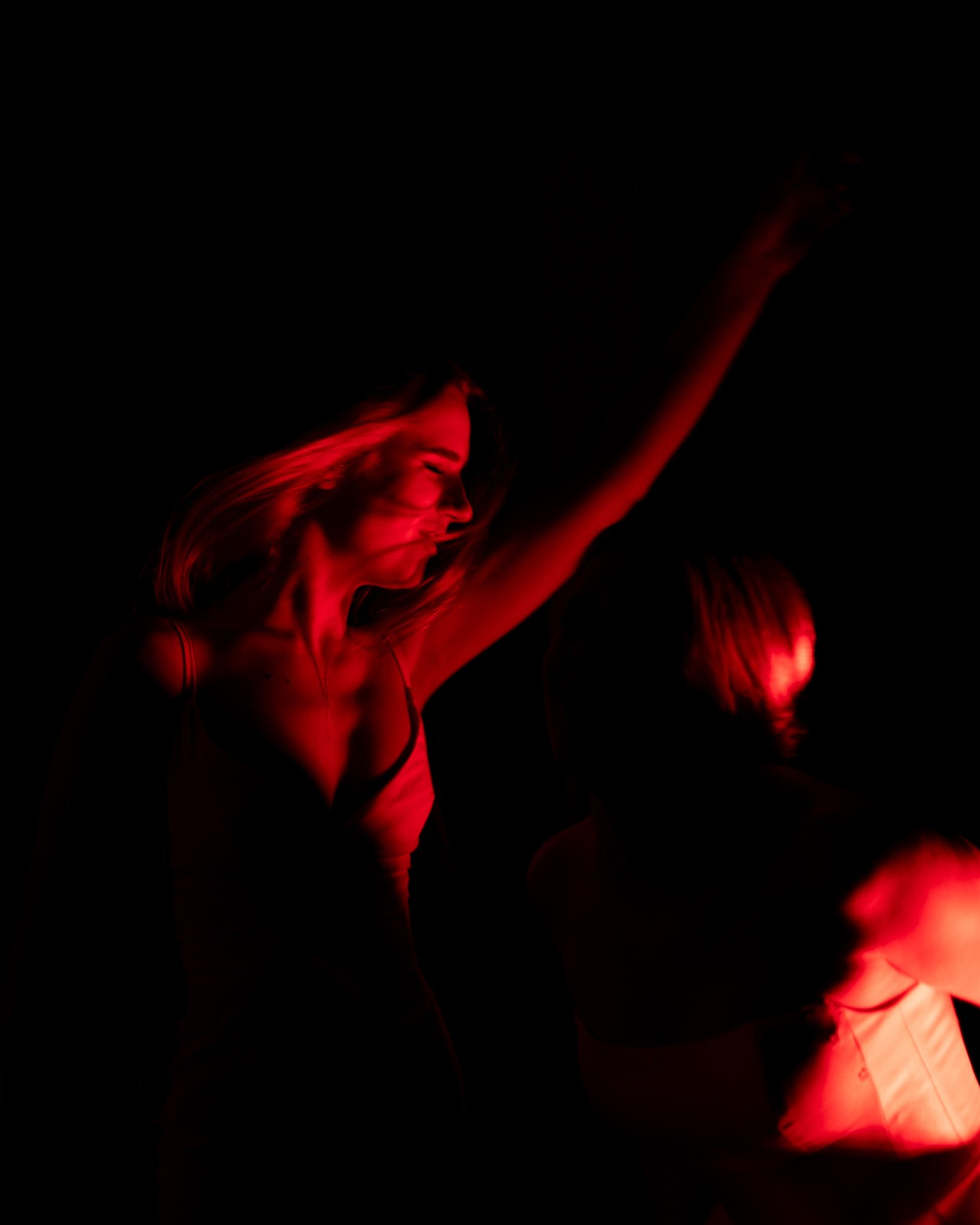 свадьба пес и котики