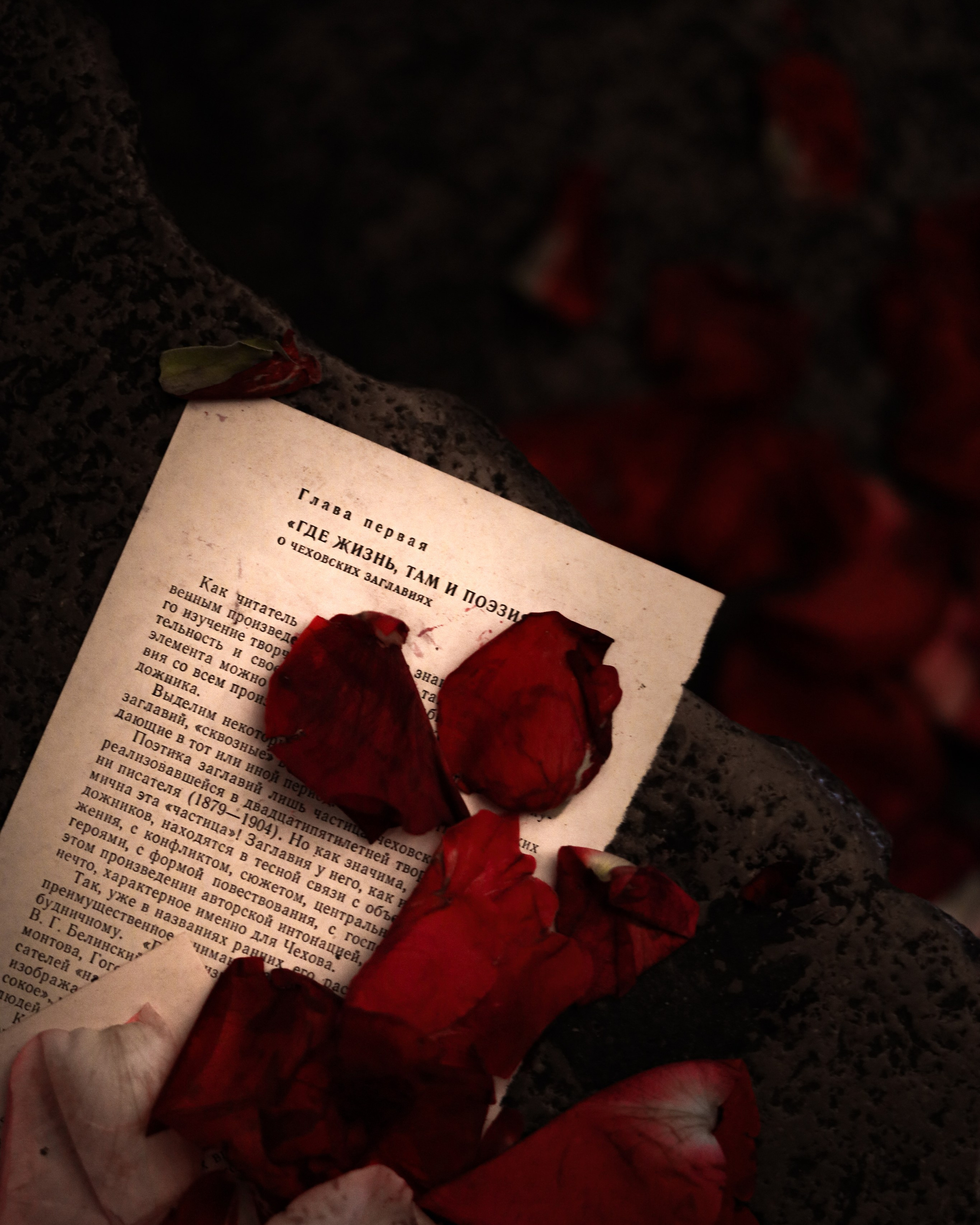 Gastrodvor «Диалог с Чеховым»